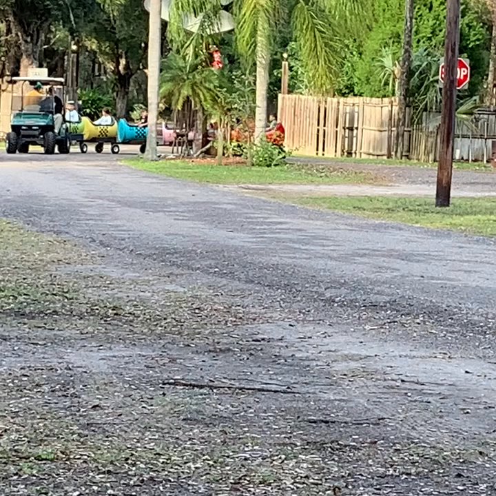 Mary's Fish Camp - DAVE ENTERTAINING THE CHILDREN! - Fishing Near Me - Weeki Wachee, Florida