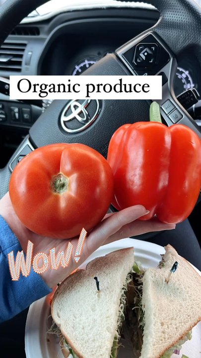Sunshine Corners - Huge organic produce. So yummy! The deli cashew chicken sandwich on sourdough was delicious. Took a lot to not go back in and buy another. - Health Markets Near Me - Kent, Washington