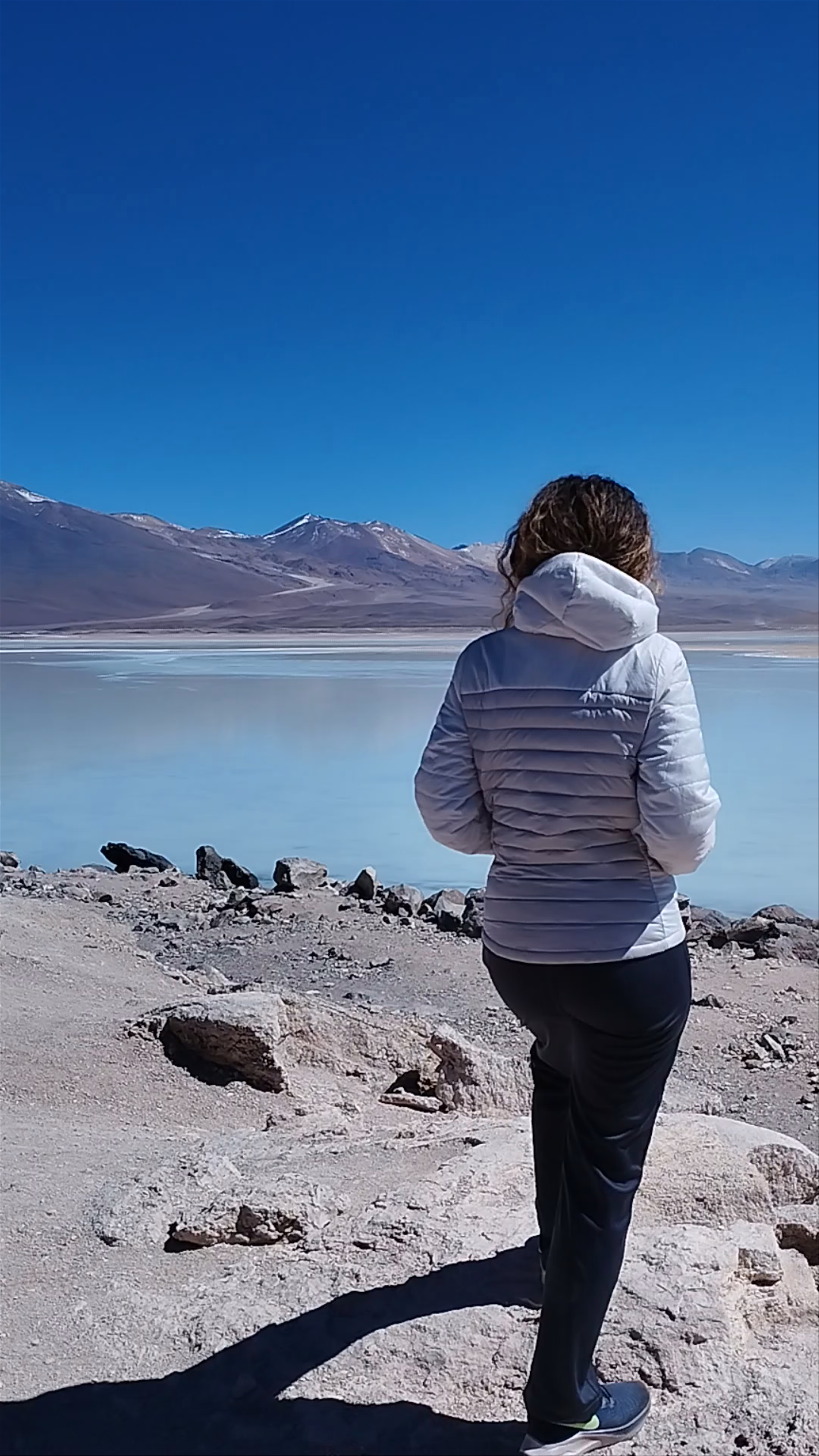 Exploring Laguna Blanca: A Tranquil And Scenic Gem In Bolivia