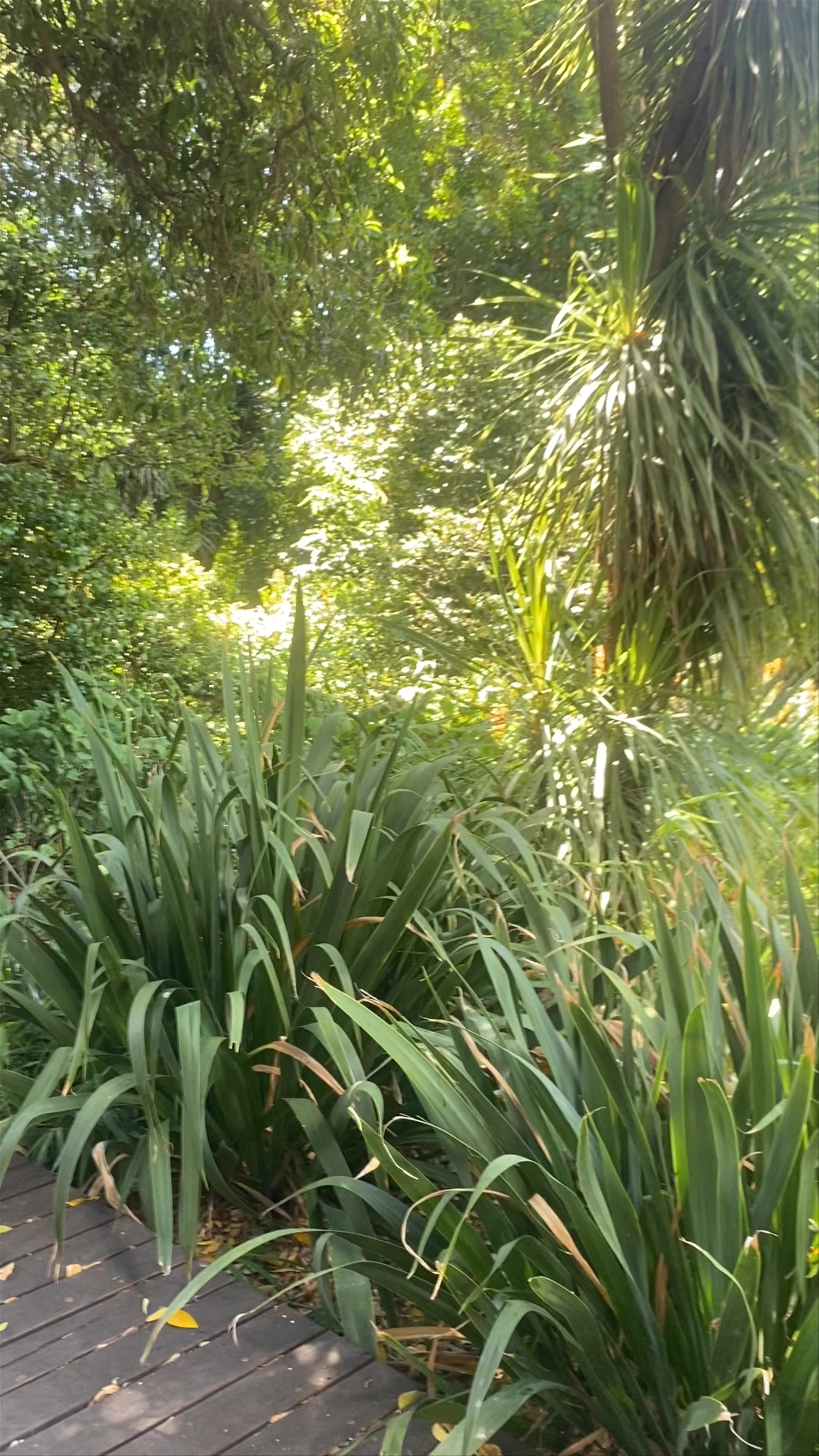 Royal Botanic Gardens Visitor Centre