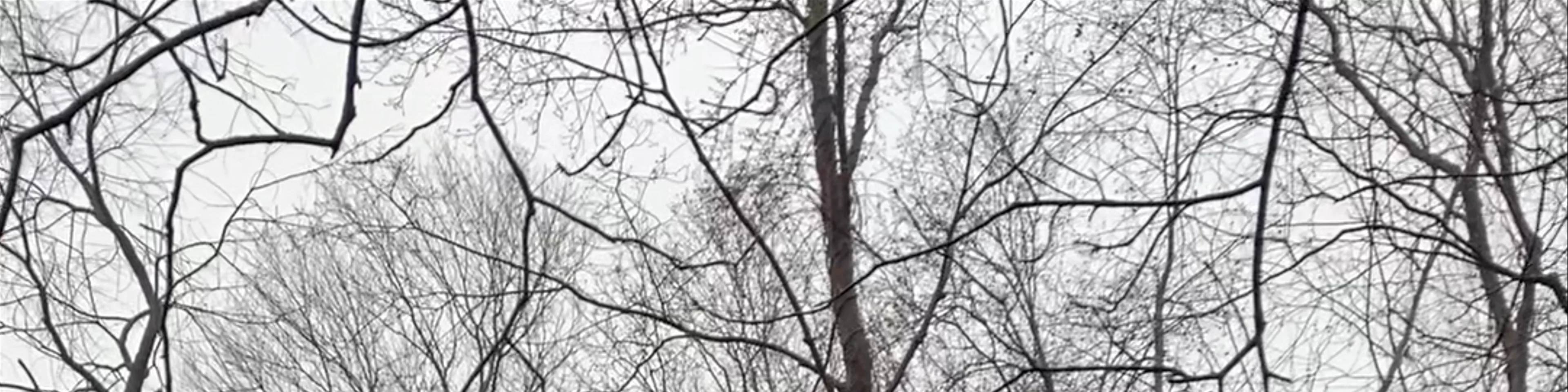 Putnam Memorial State Park