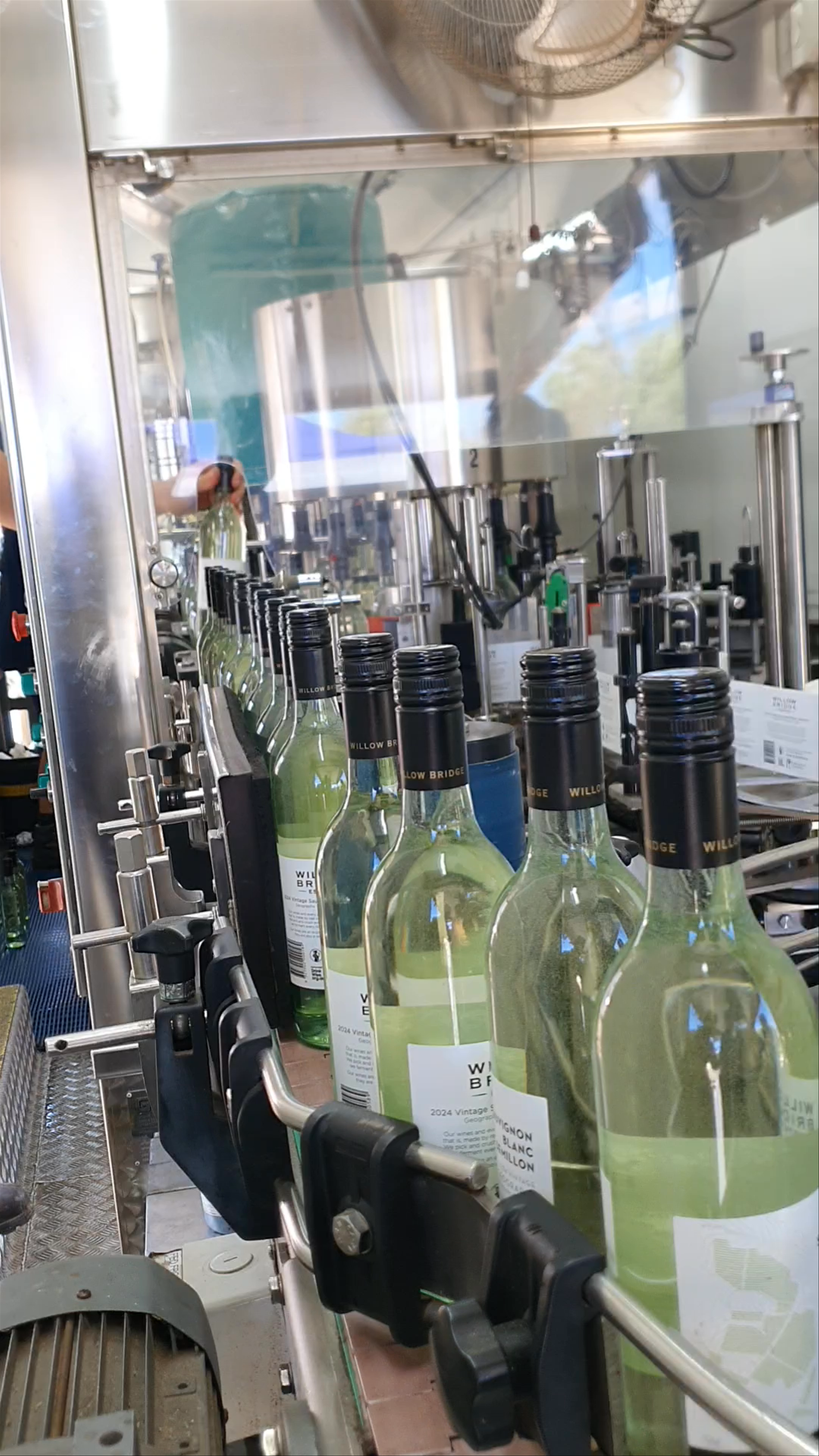 Willow Bridge Estate: Behind the Scenes of Wine Bottling in Western Australia