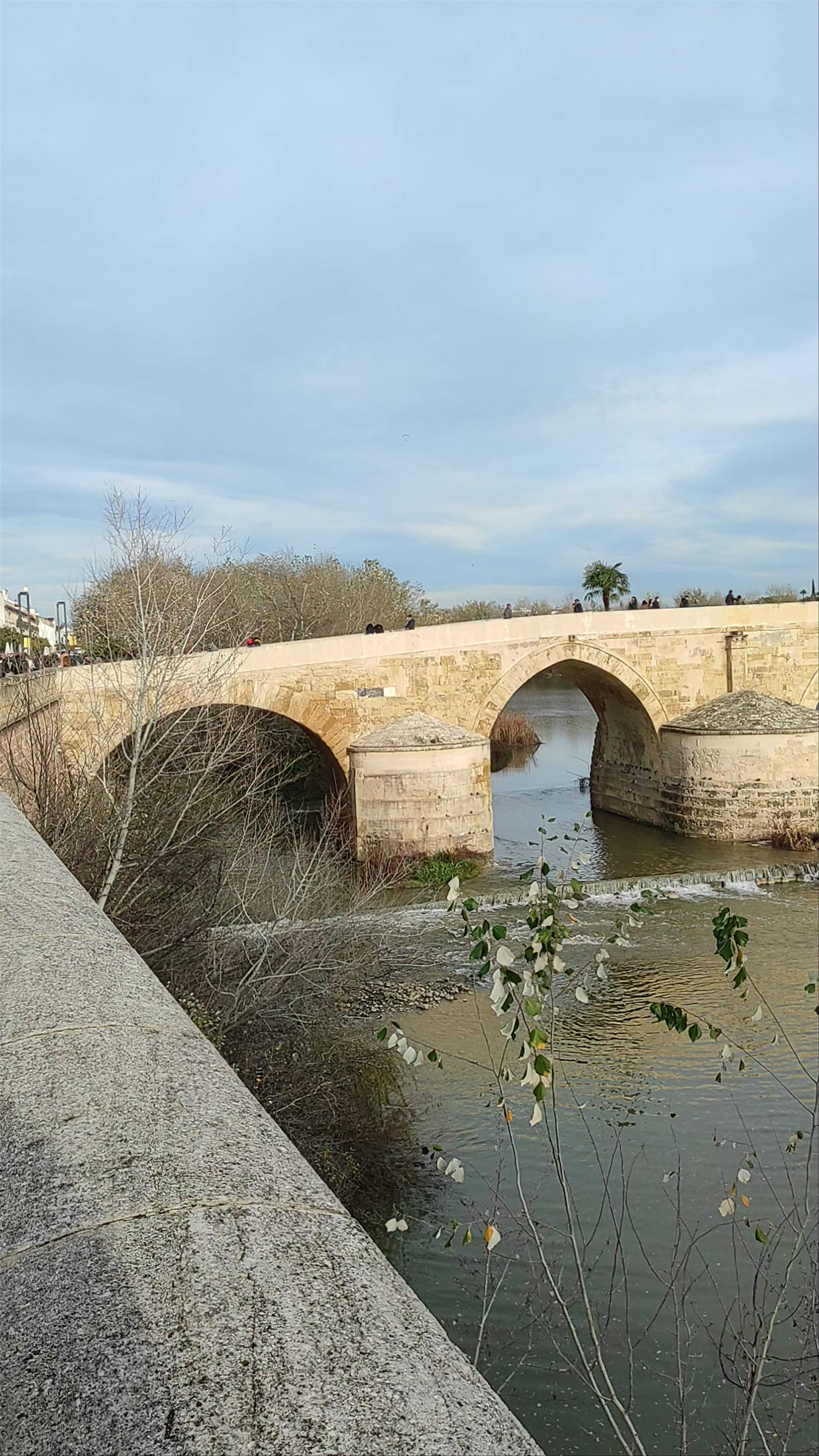 Puente Romano de Córdoba