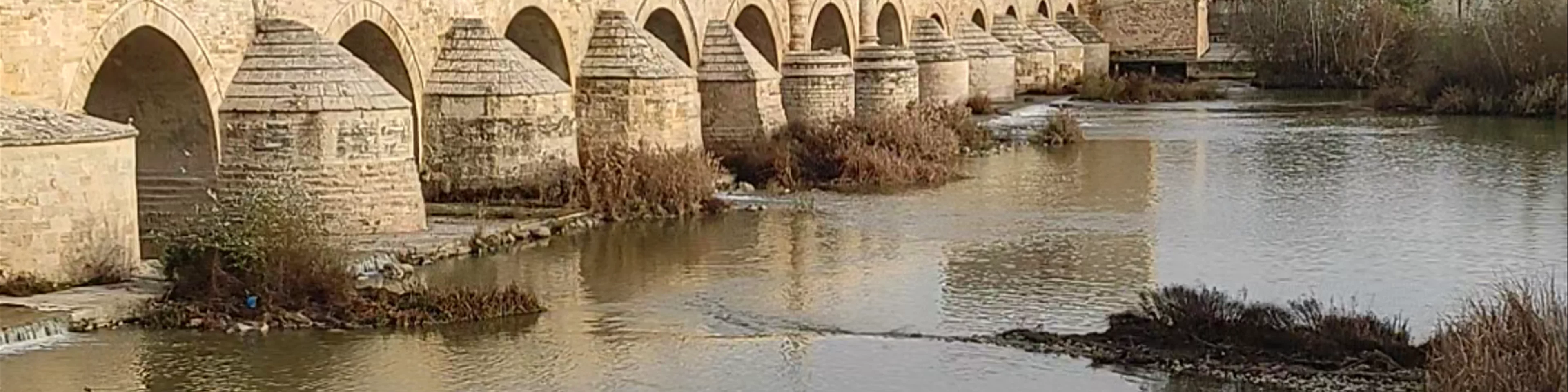 Puente Romano de Córdoba