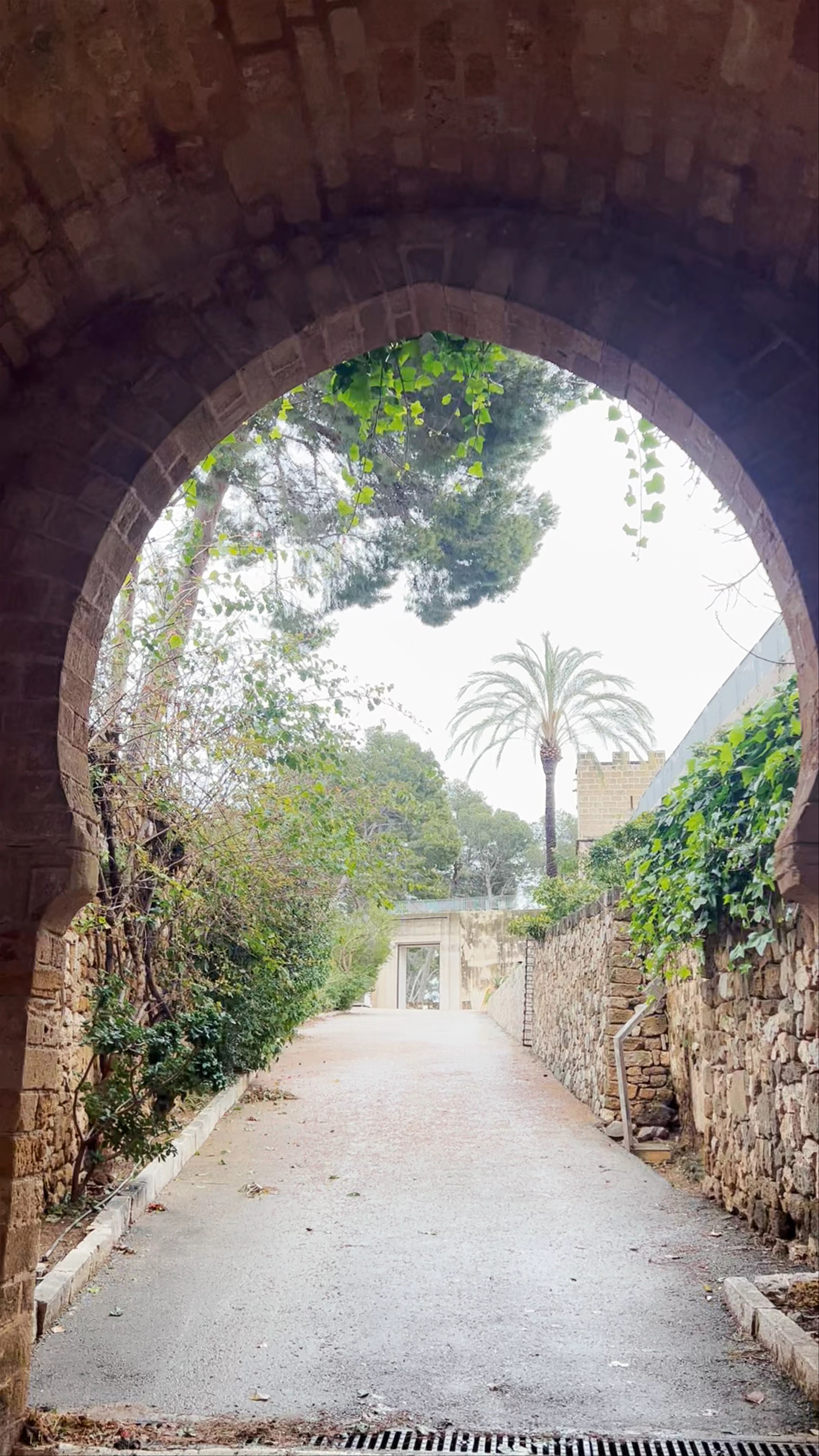 Castell de Dénia