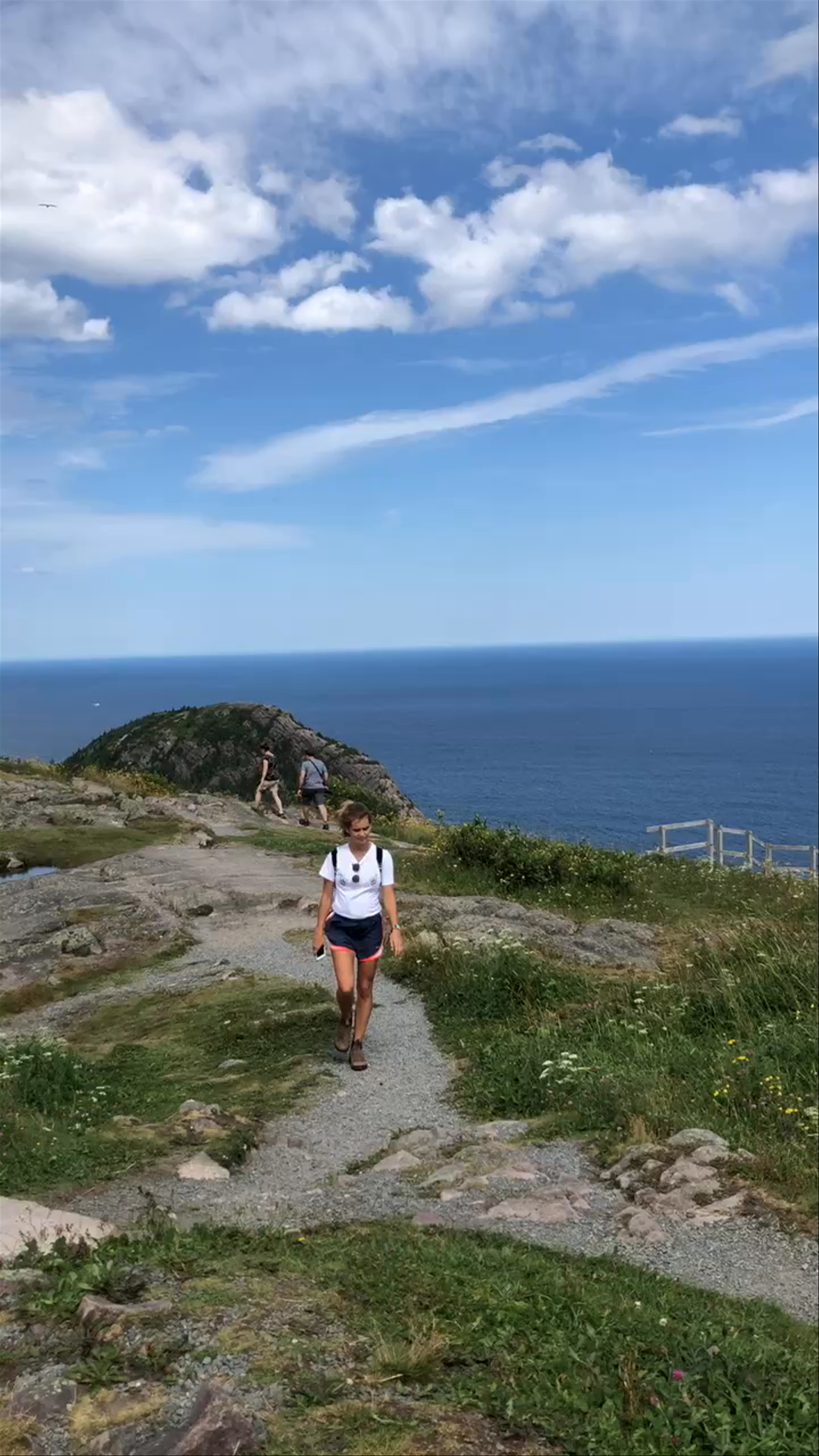 Signal Hill Hike