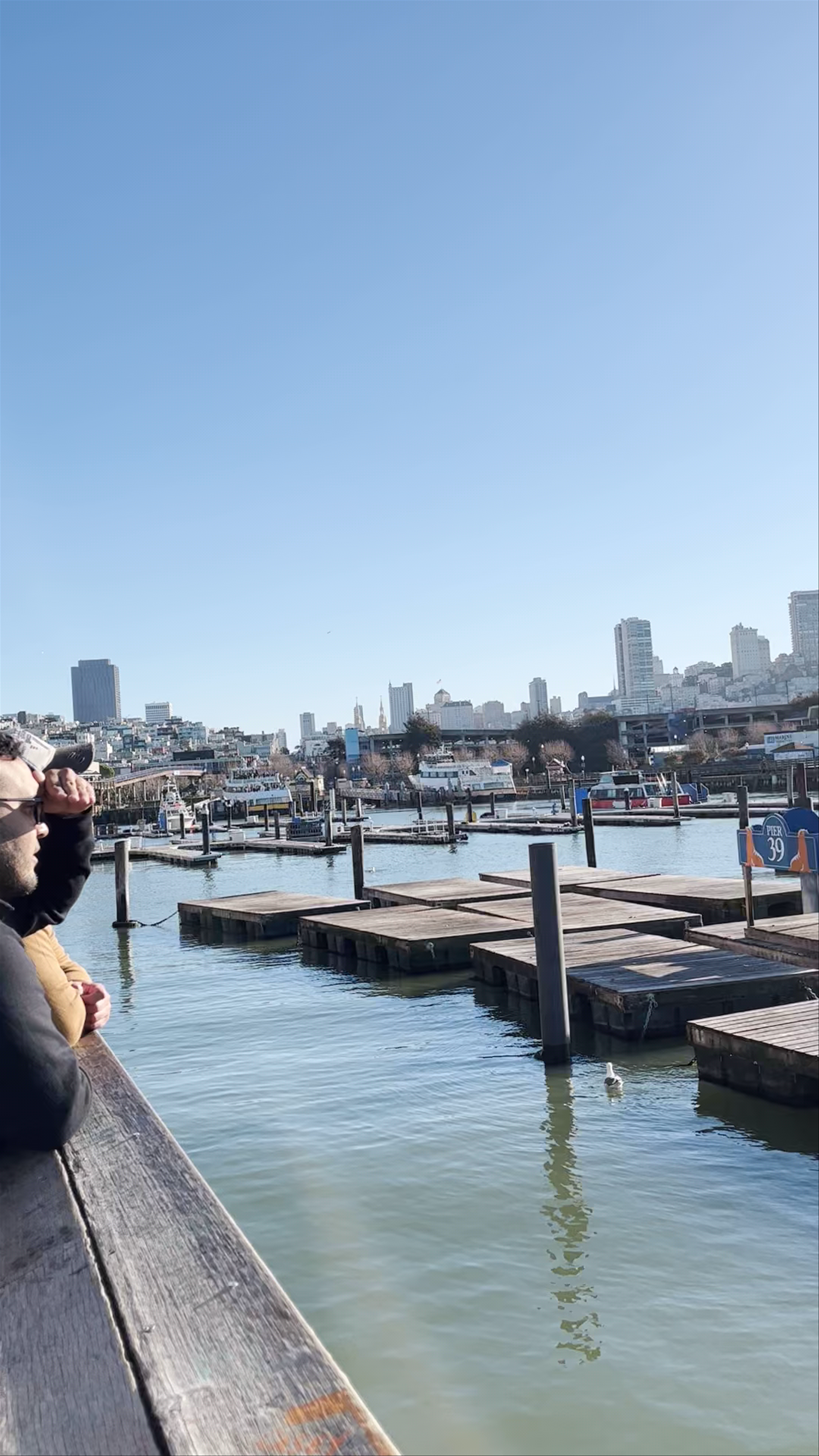 Sea Lion Viewing at Pier 39, Fisherman's Wharf, San Francisco