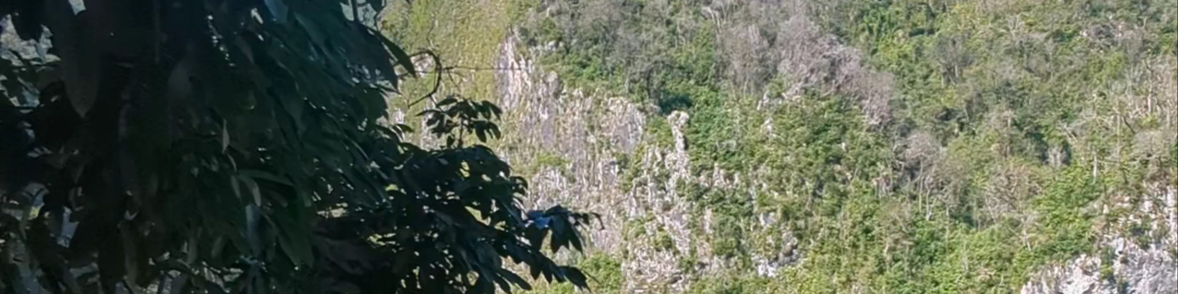 Semuc Champey