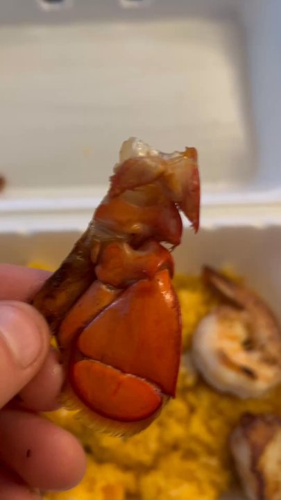 Taco Lab - Is this lobster for my rice? - Food Trucks Near Me - Rochester, Minnesota
