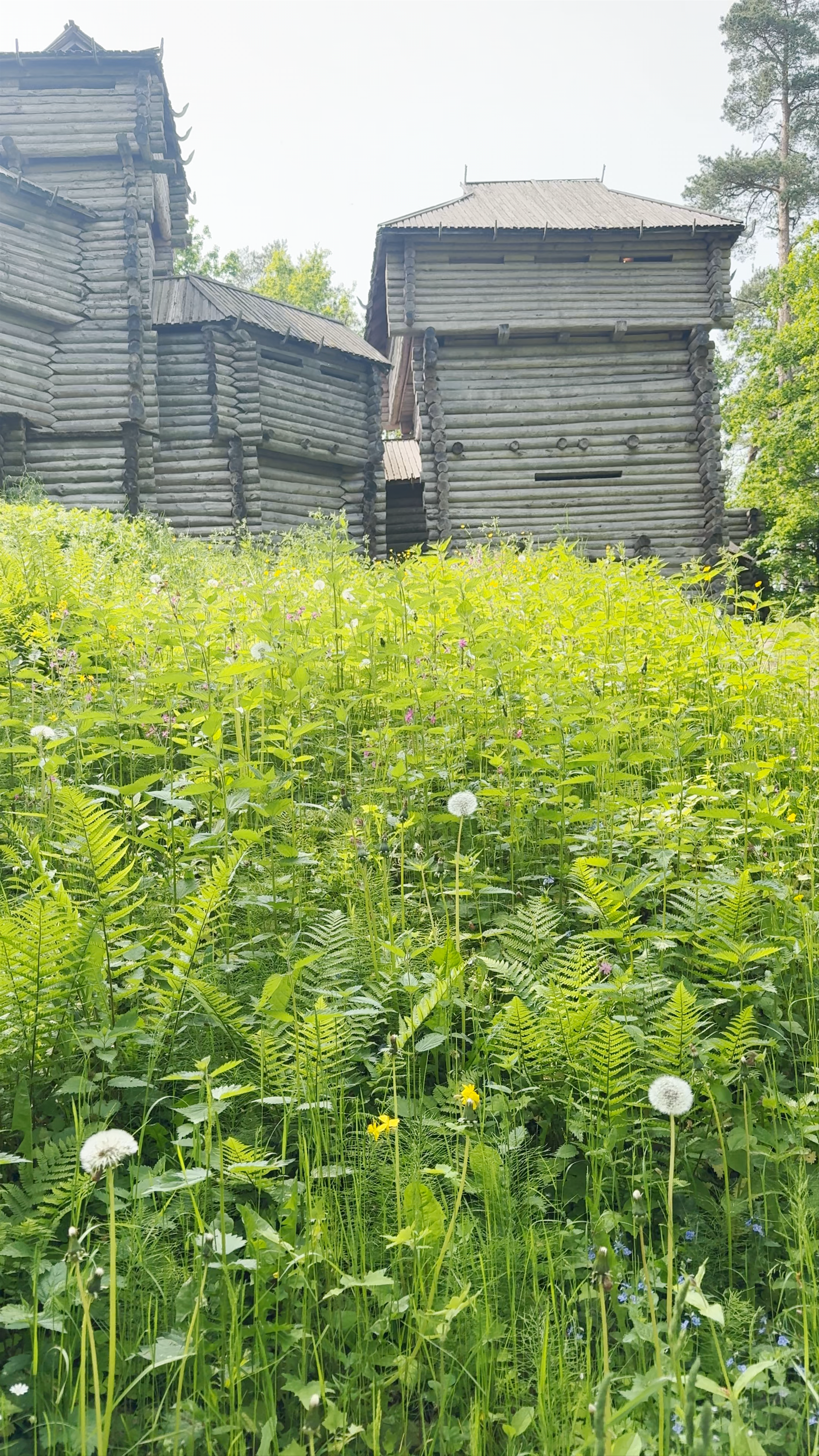Tērvete Wooden Castle