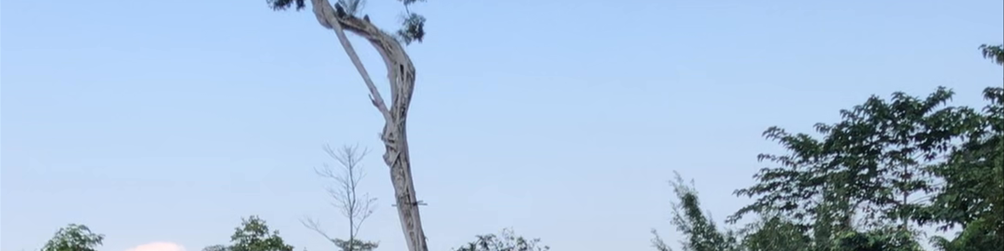 Laos