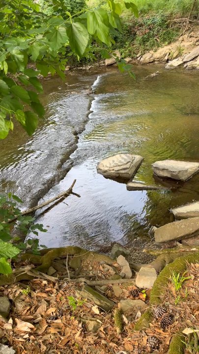 Jemison Park - Parks Near Me - Mountain Brook, Alabama