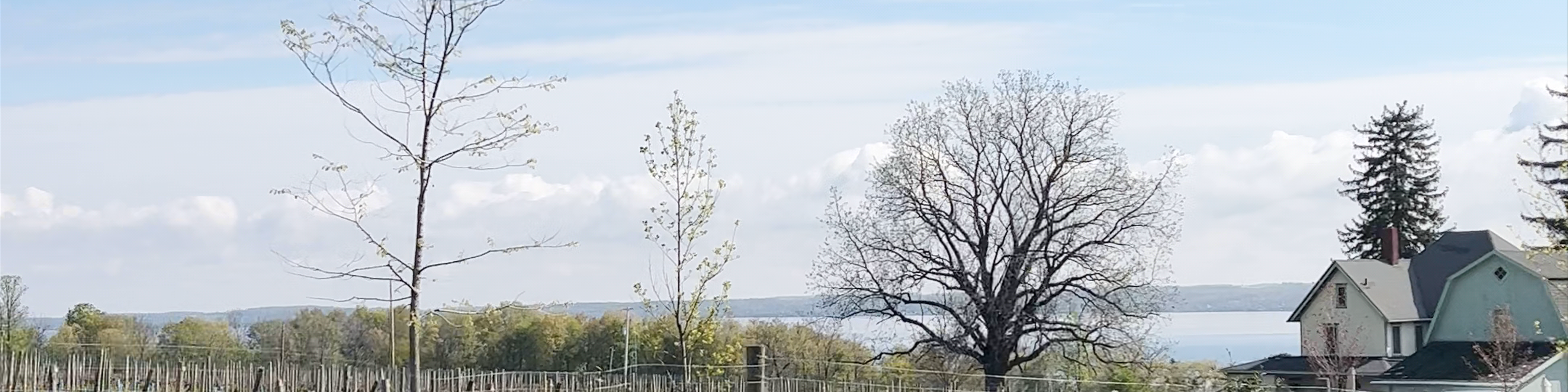 Geneva