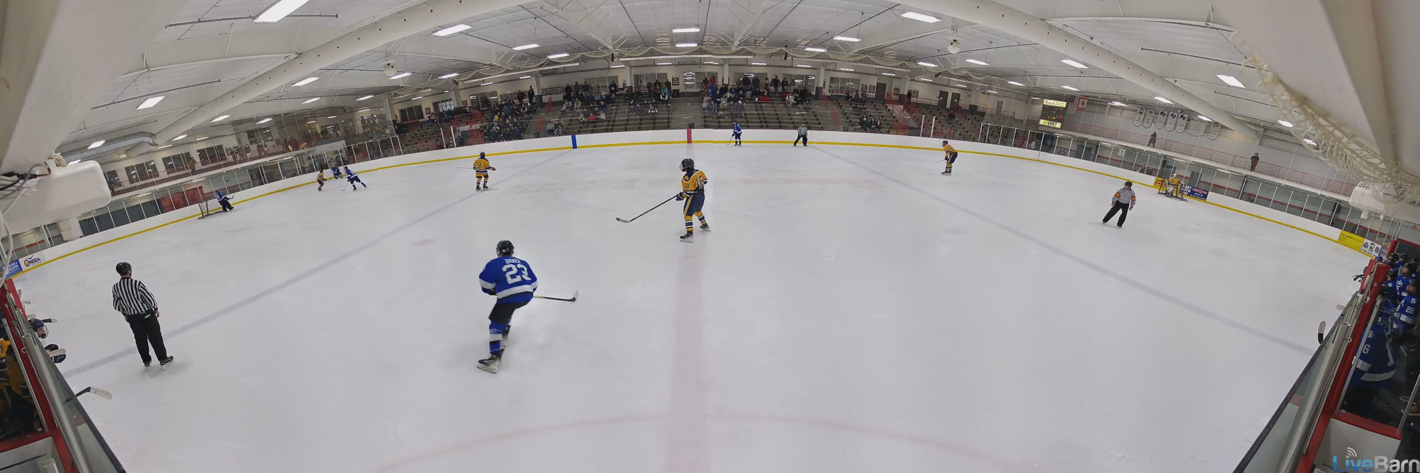 Teigue Wagner #19 Blue: Impressive Blue Line Assist WIHS St Mary's Springs Vs Wausau West