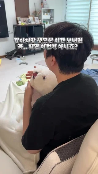 크리에이터 숏폼 영상