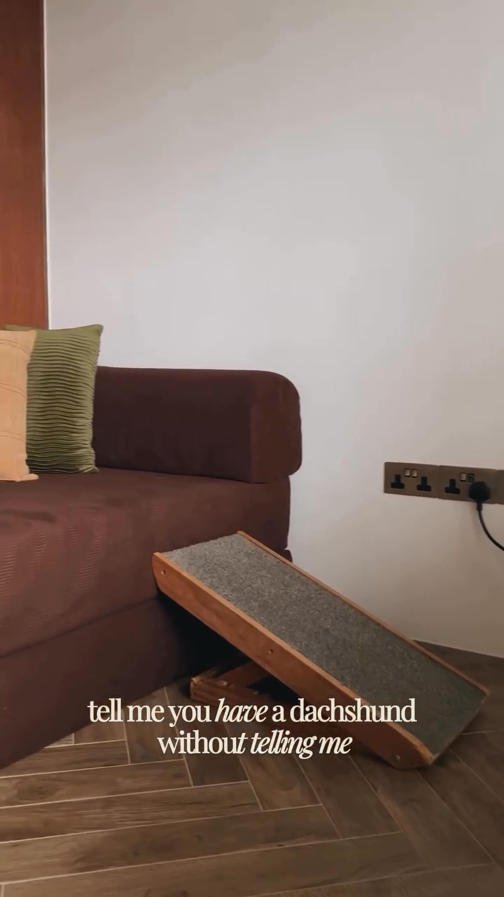 Reality-of-living-with-a-sausage-dog