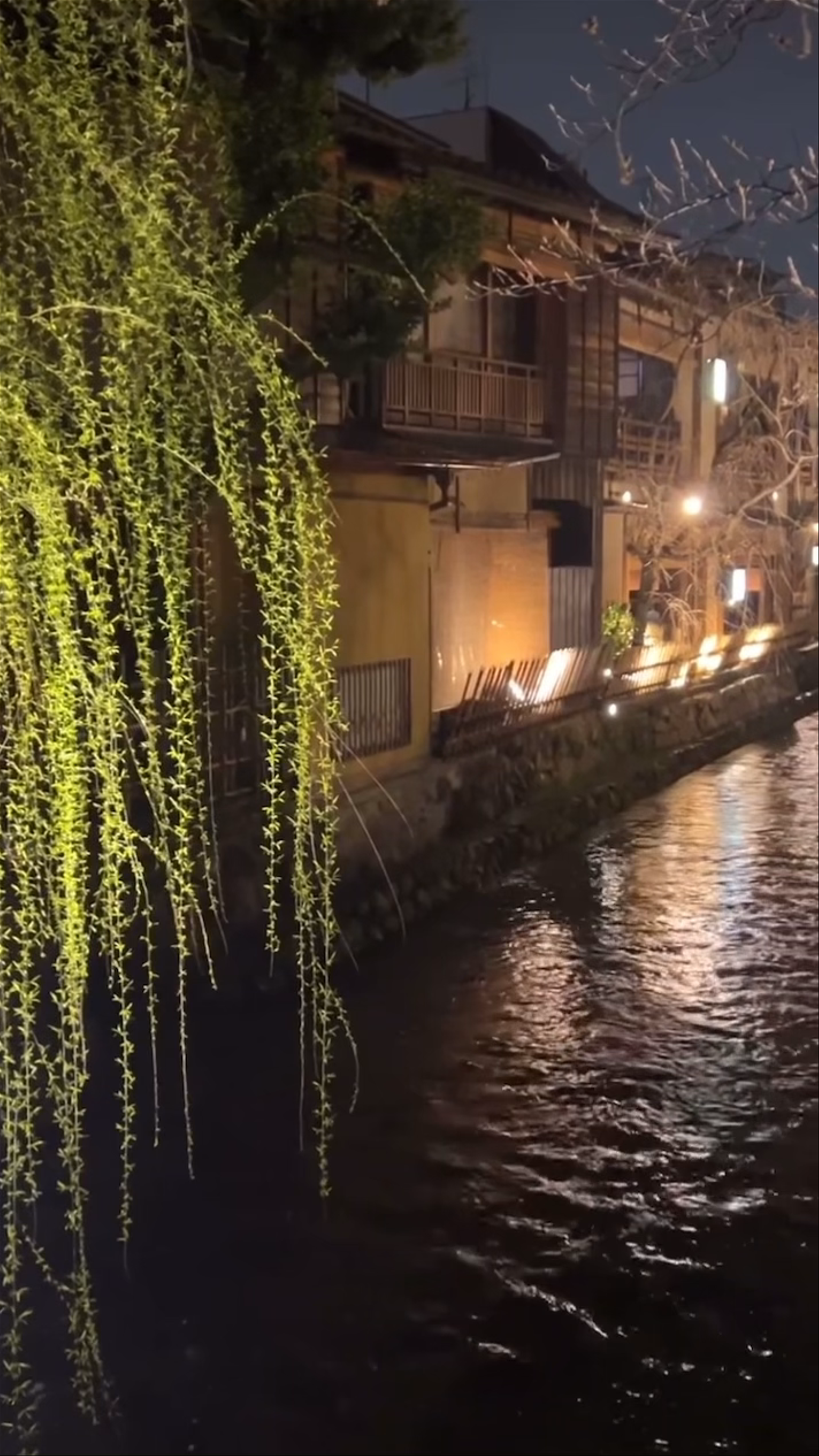 Hanamikoji Street Nighttime Serenity in Kyoto