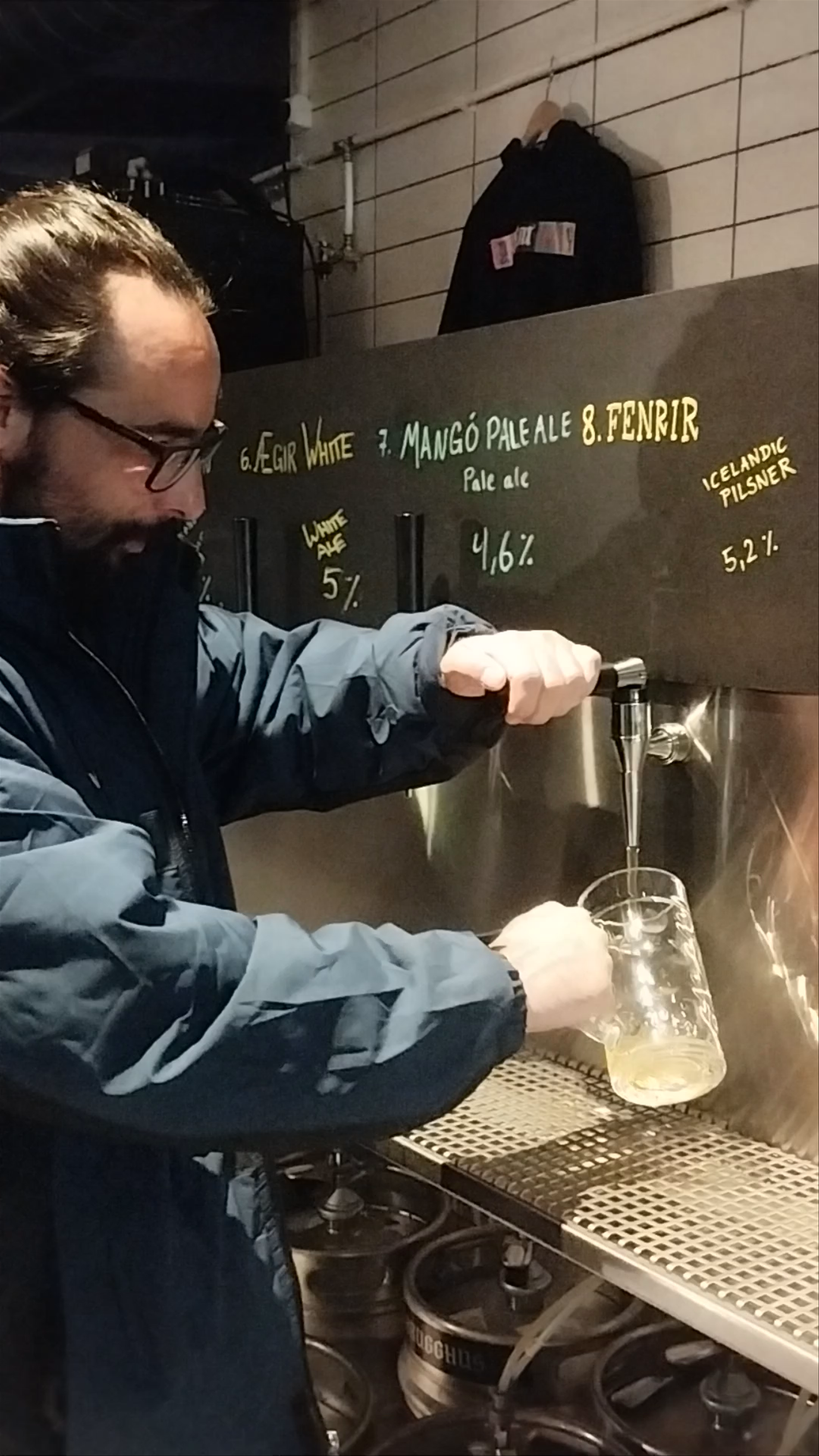 Craft Beer Experience at Lemmy Taproom in Reykjavík