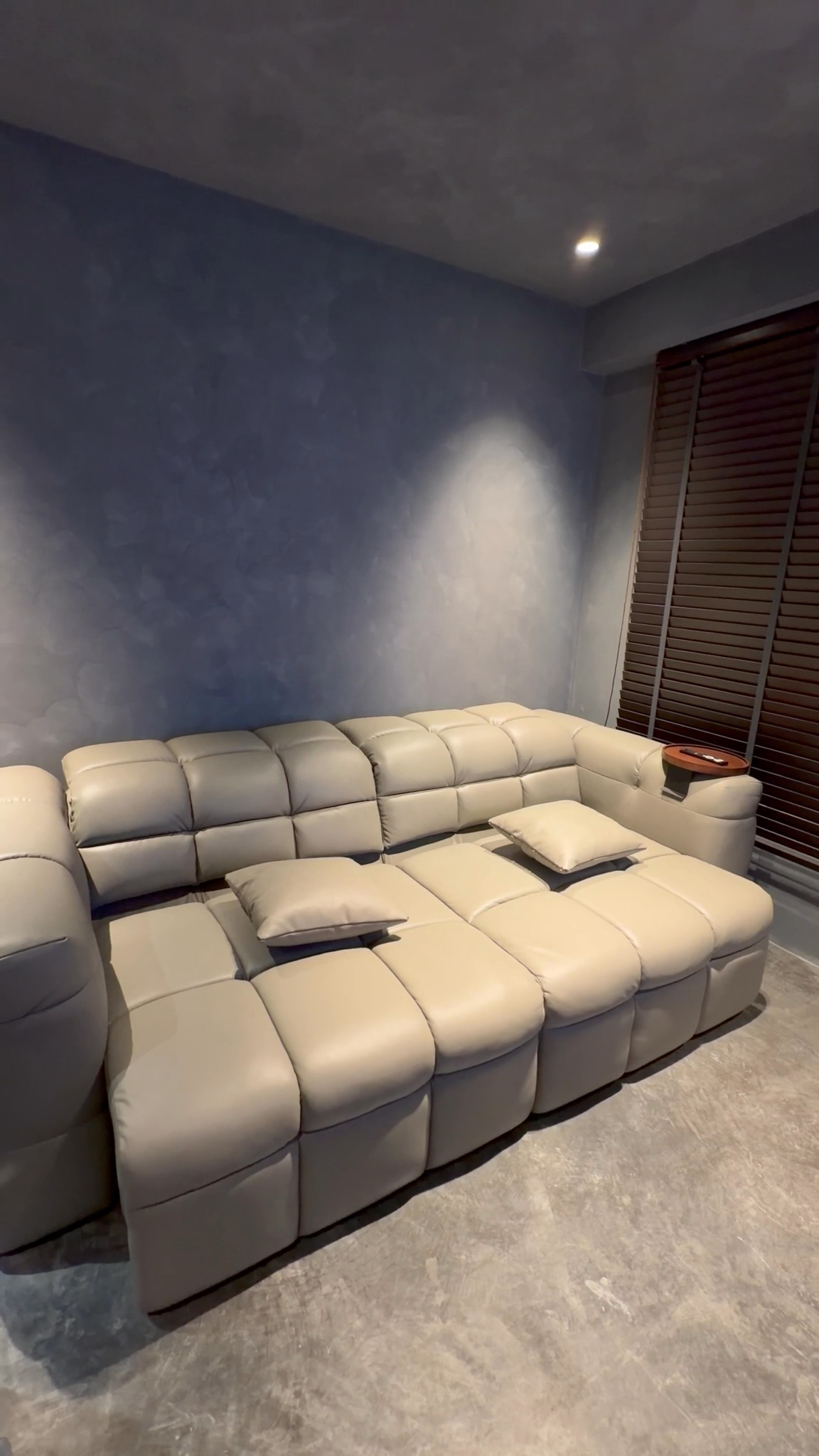 Retractable-Sofa-with-🐾-Pet-friendly-materials