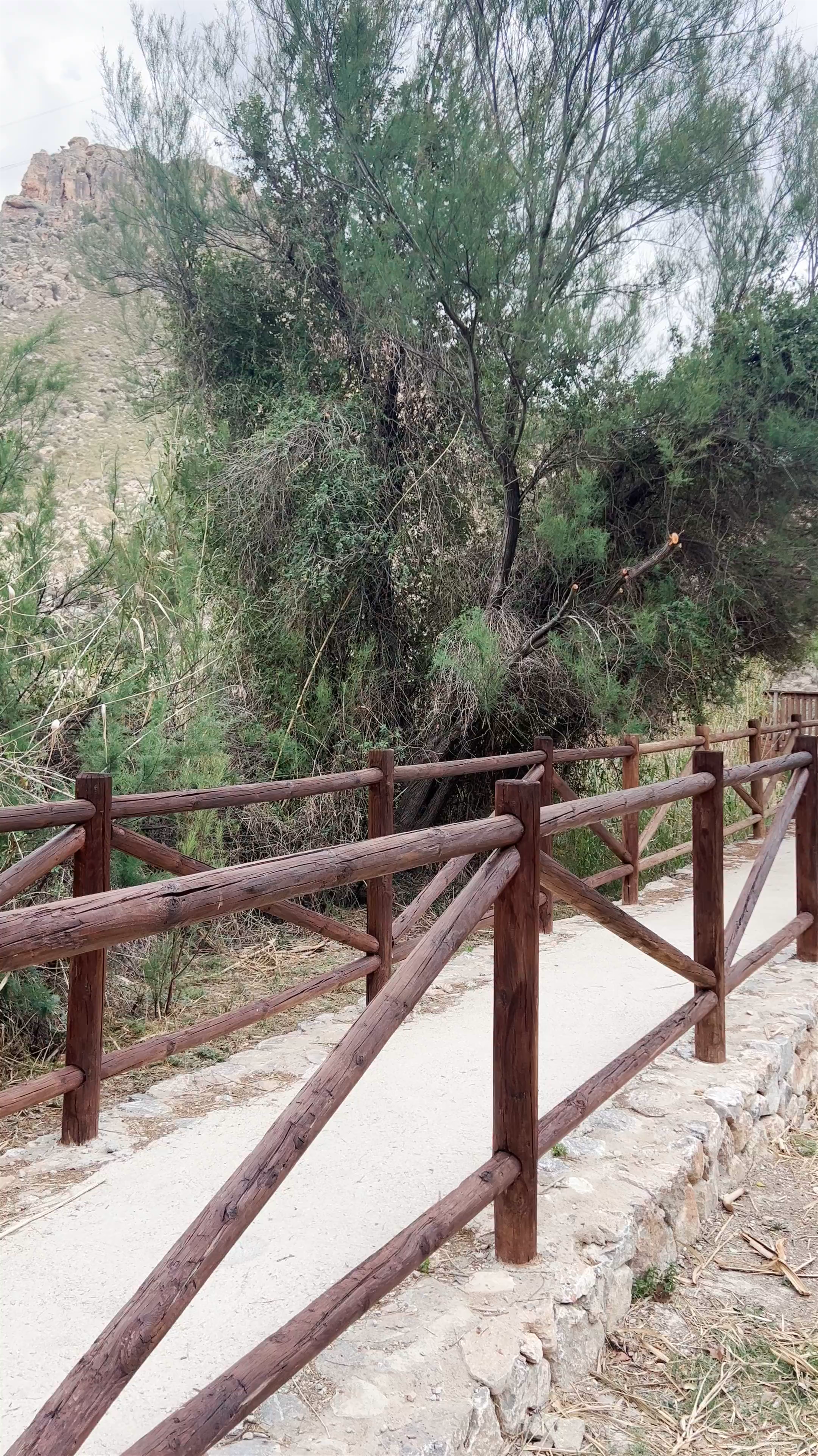 Scenic Nature Walk at Área Recreativa Soto, Ojós, Spain