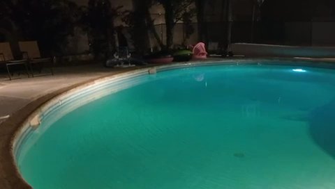 Listing photo-2