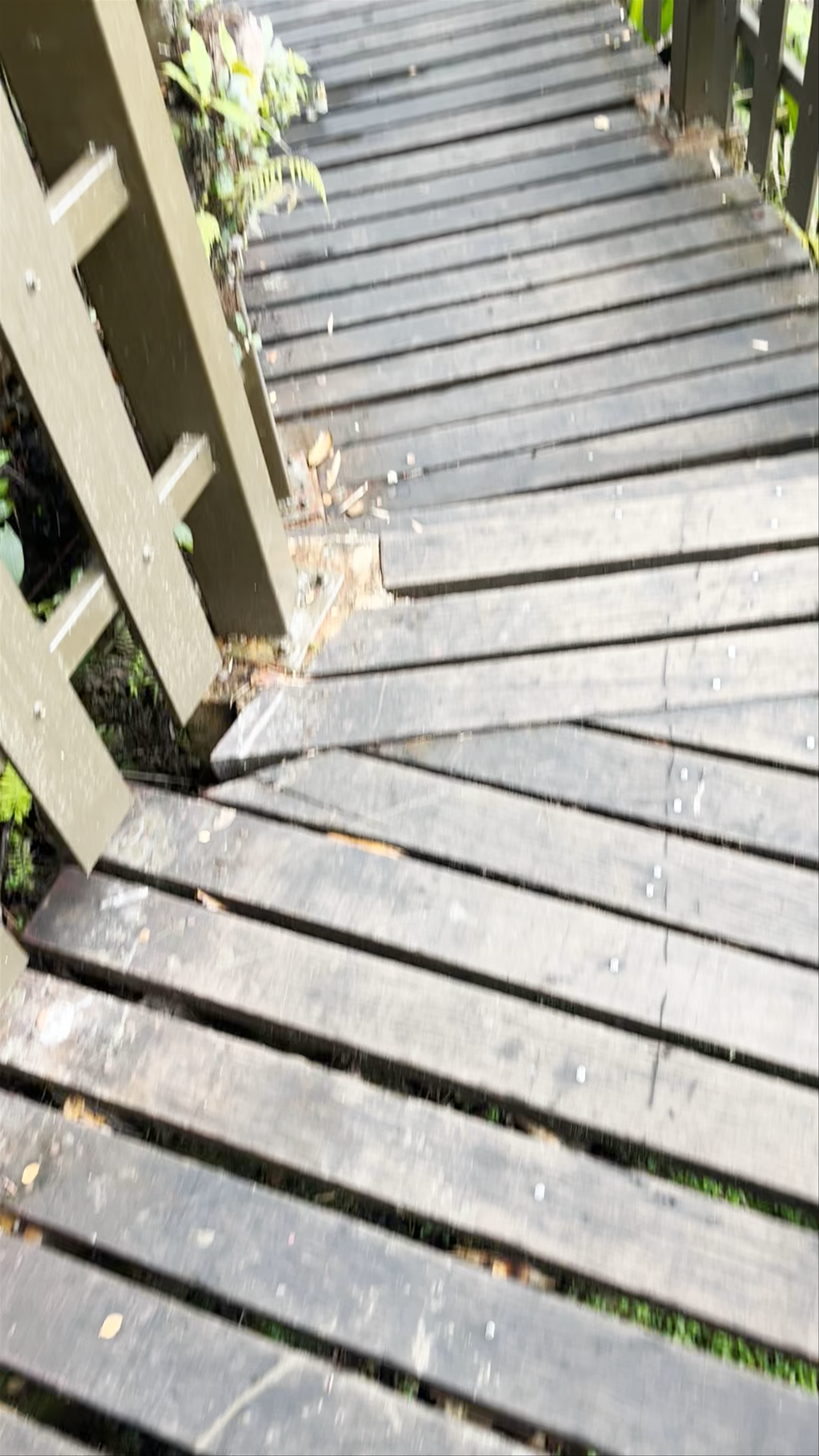 Mossy Forest Family Retreat