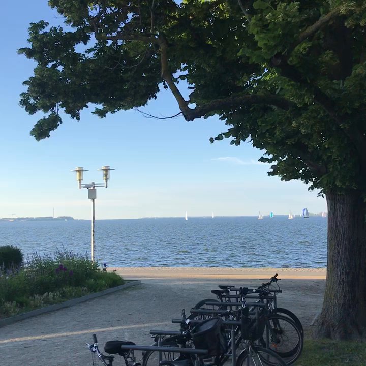Ventspils - Blick auf die Mittwochsregatta - Seafood Near Me - Stralsund, MV