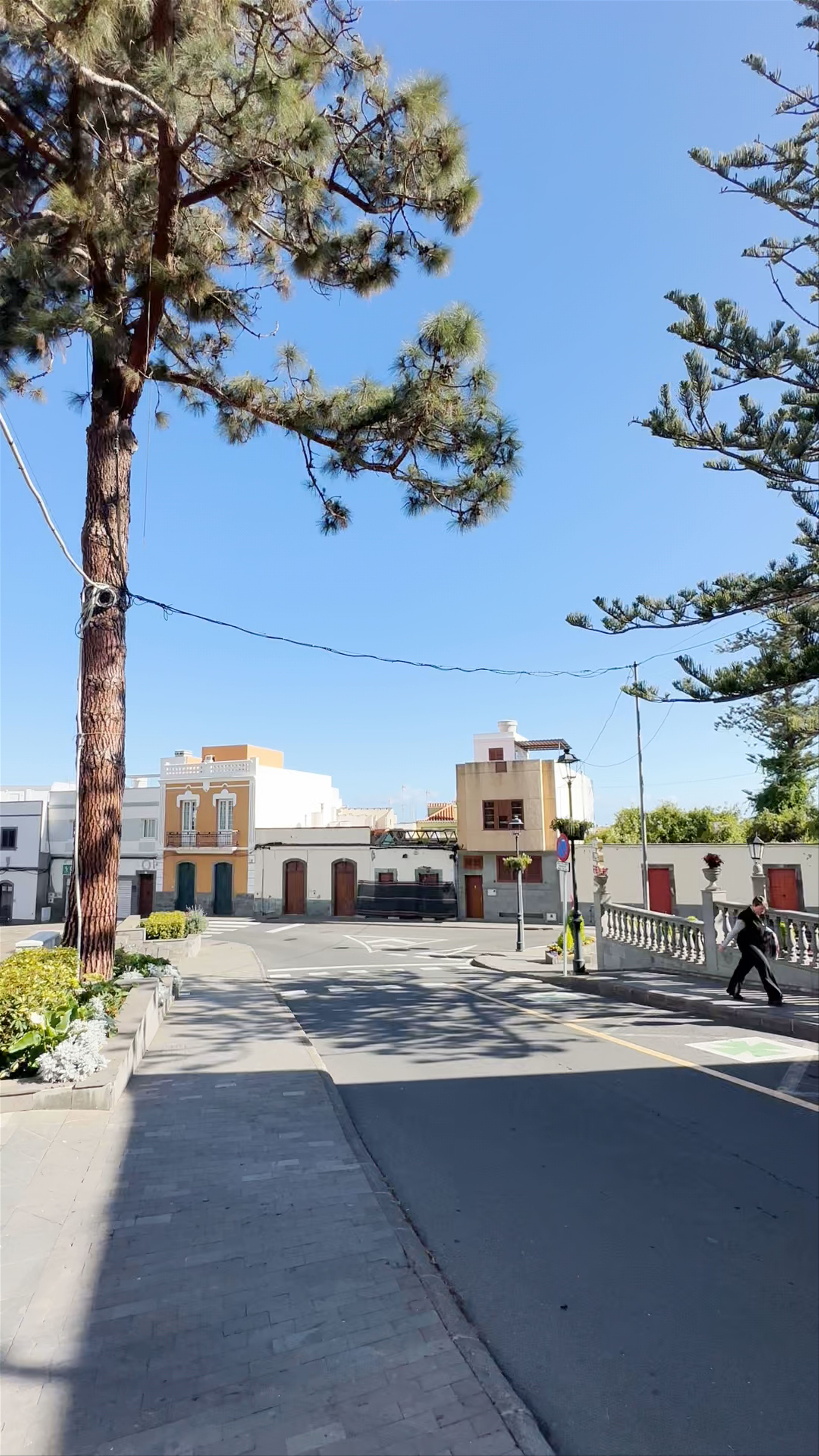 Parroquia De Ntra Sra De La Candelaria De Moya