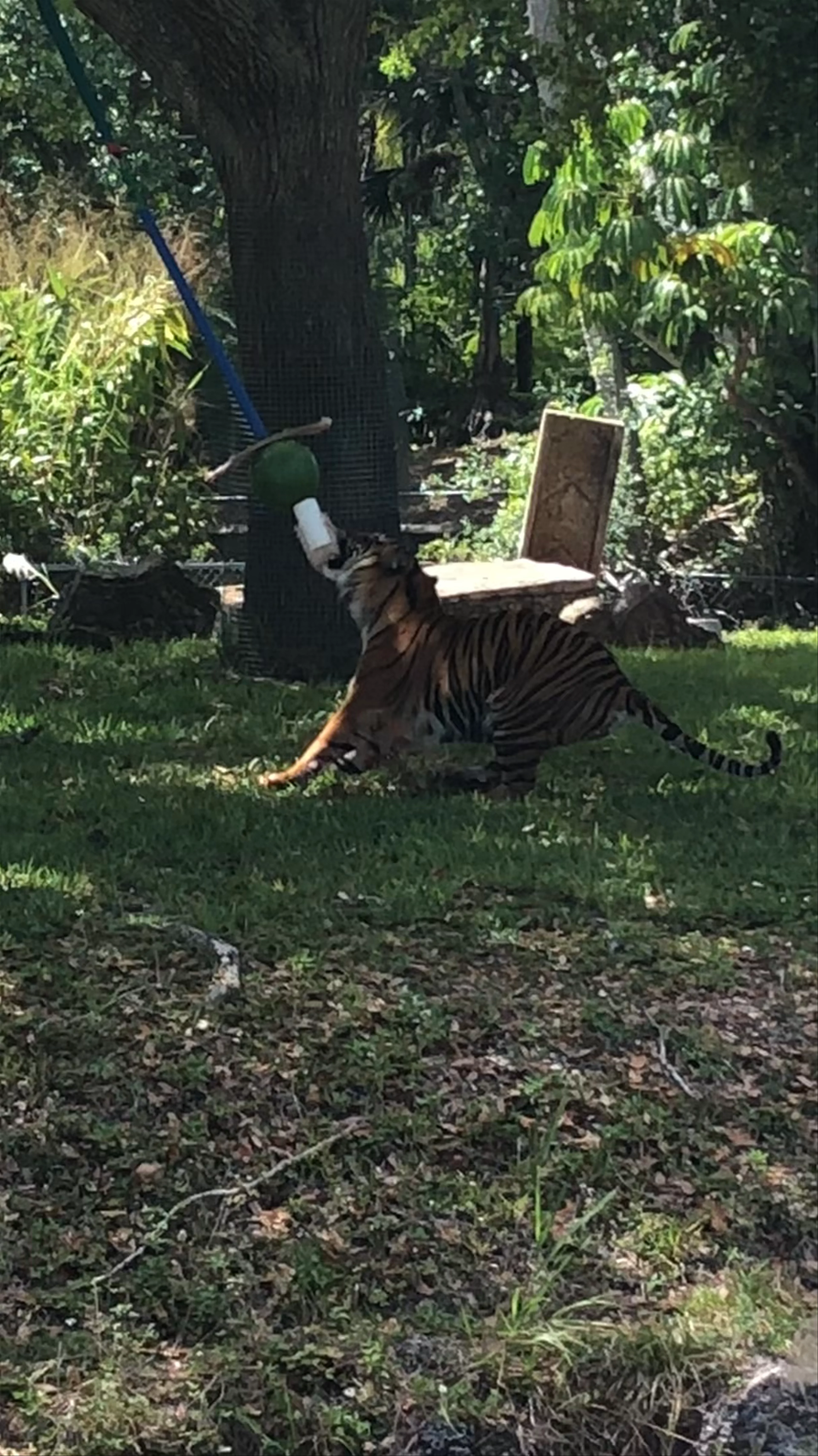 Zoo Miami