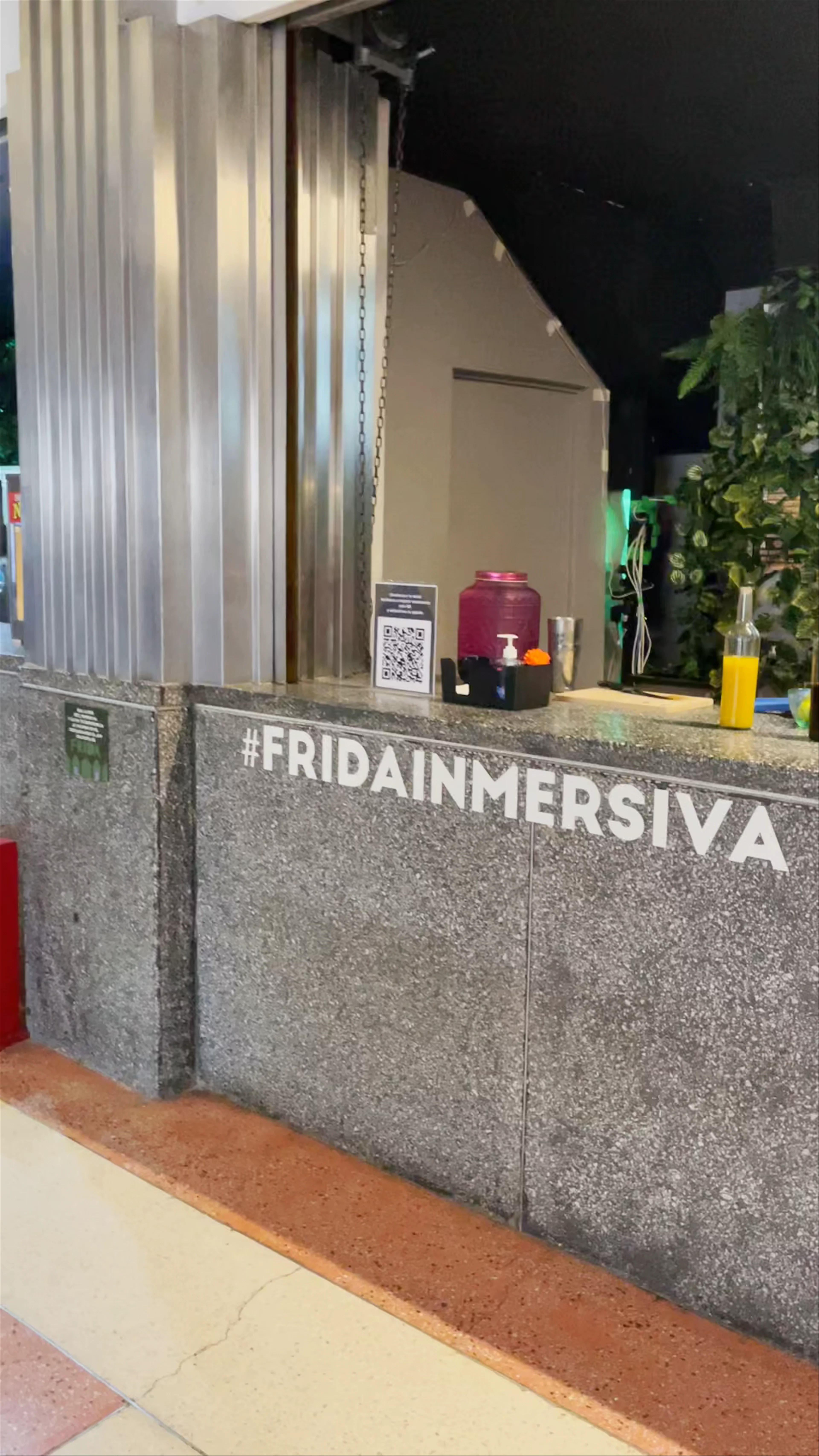 Frida Inmersiva