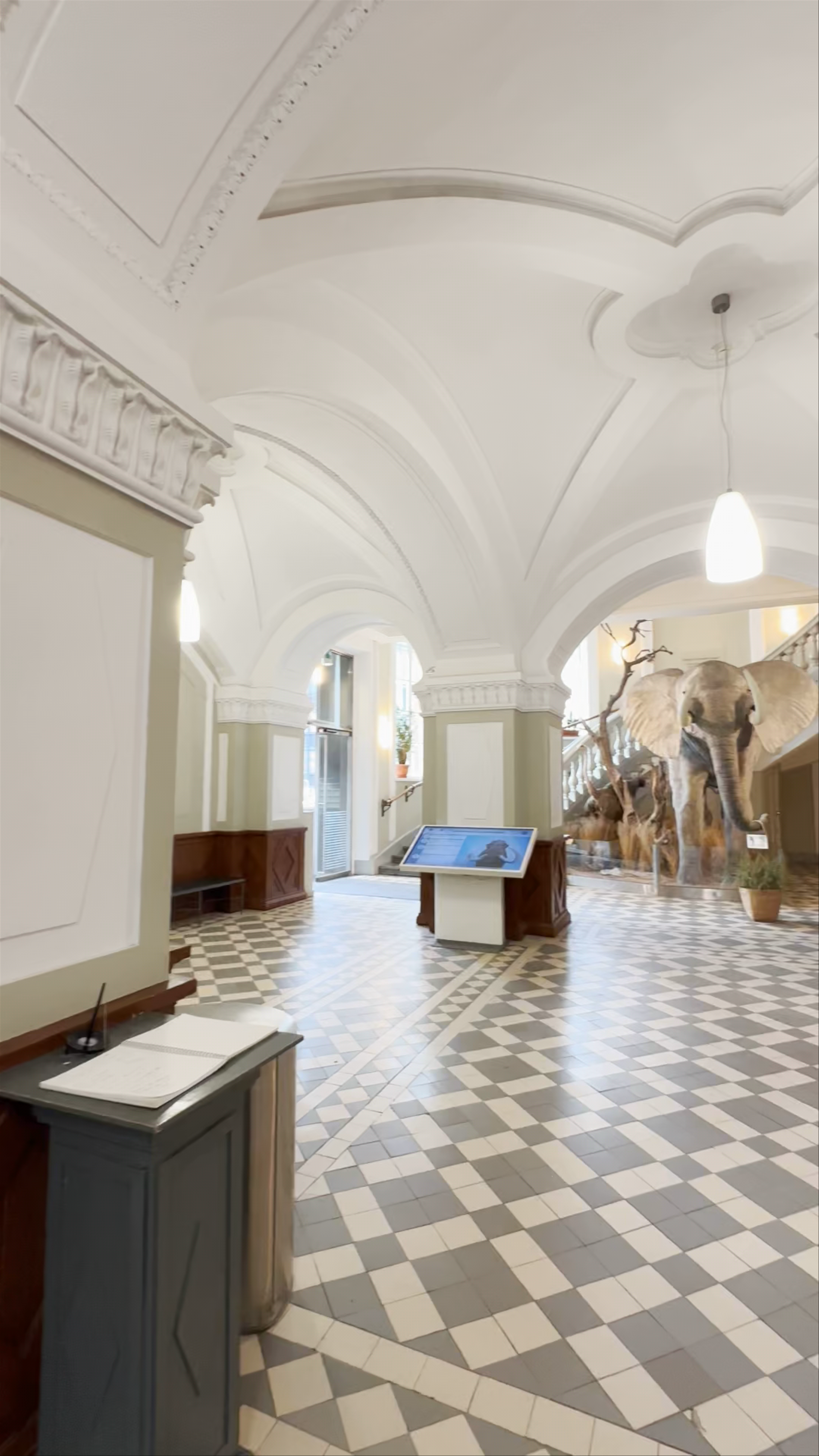 Museo de Ciencias Naturales: A Majestic Journey Through Nature in Helsinki