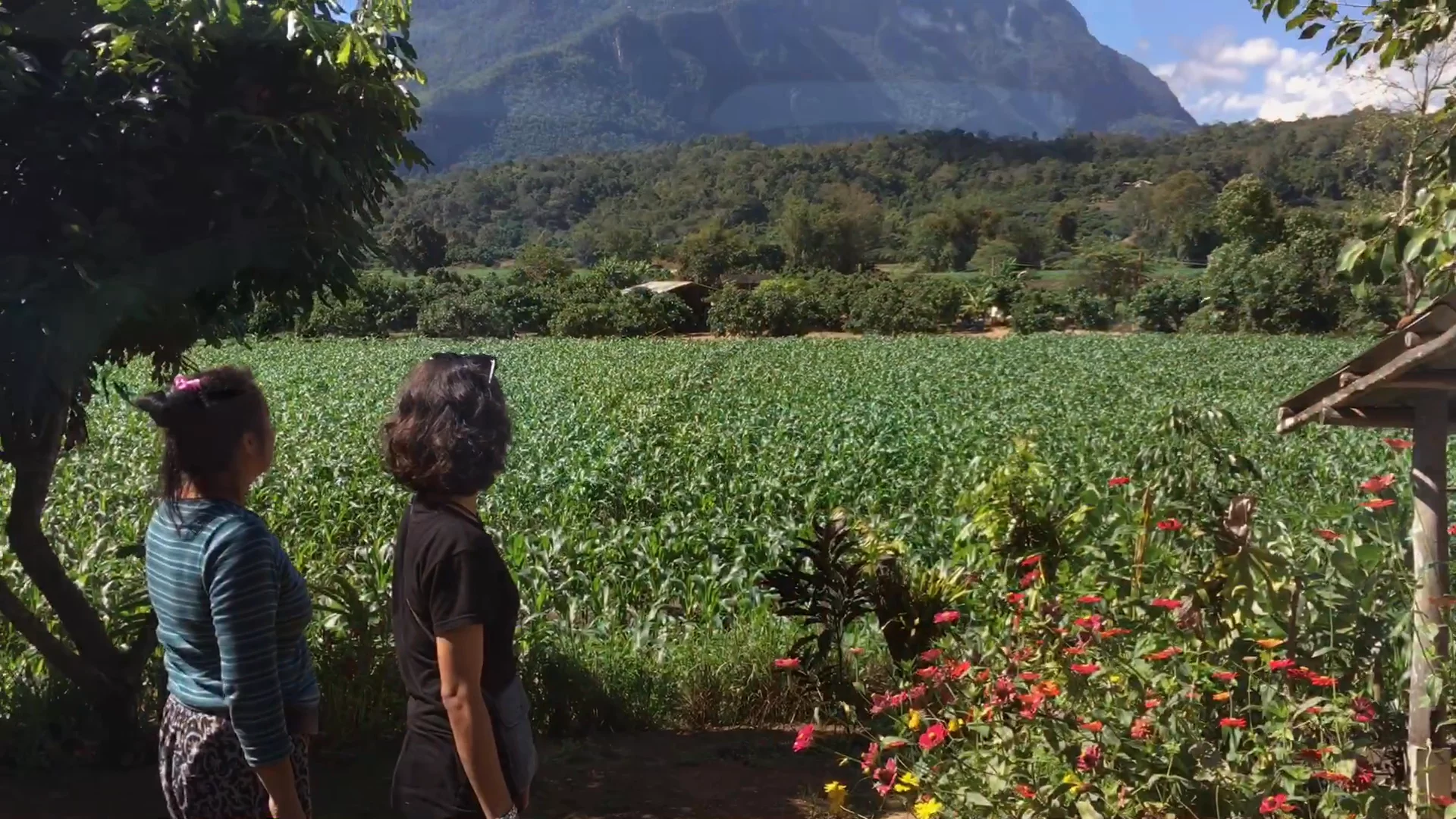 Leaving the Homestay in Thailand, Phetchabun and heading back to explore Chiang Mai