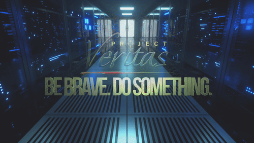 Video Thumbnail Loop