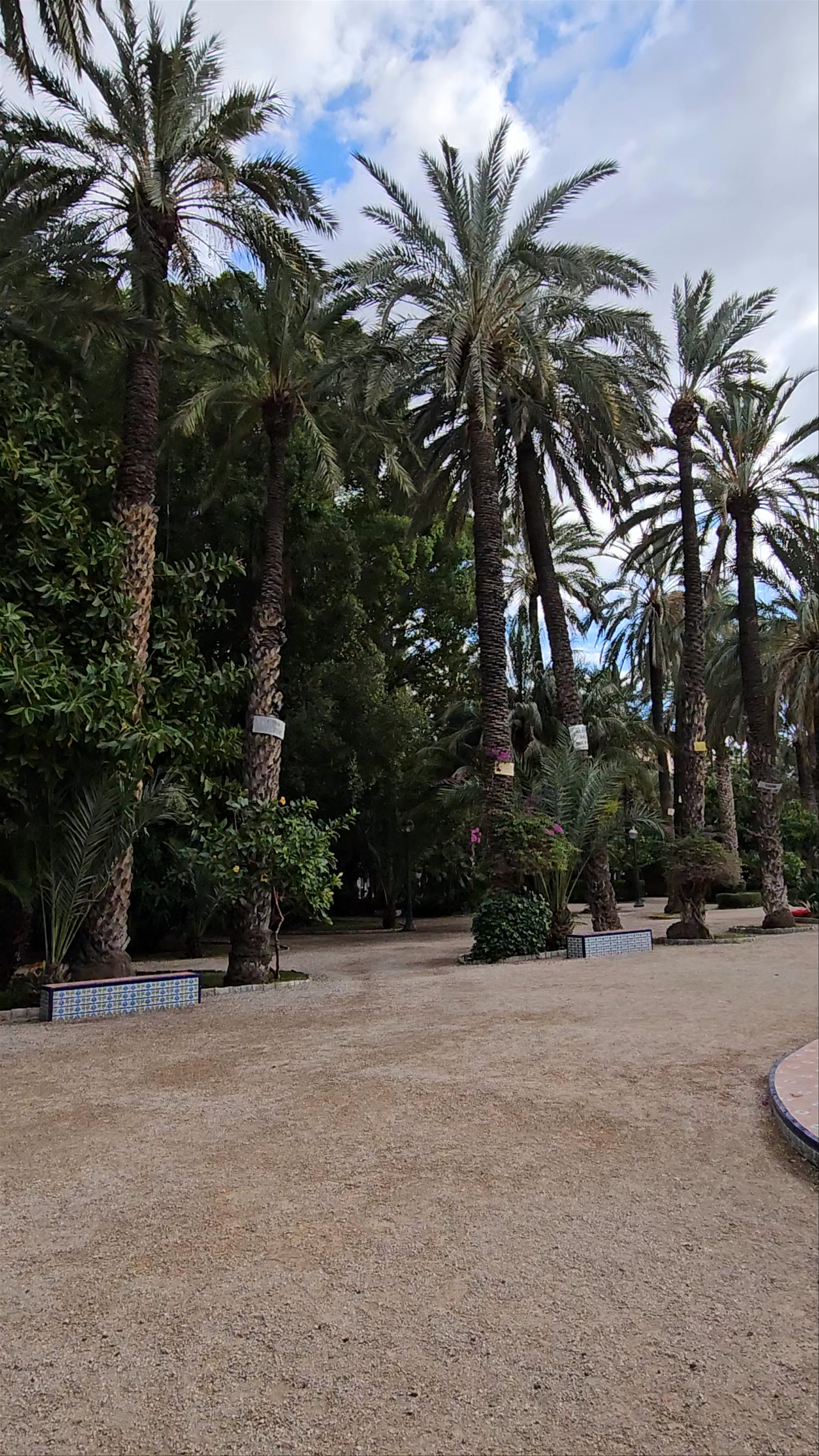 El Palmeral de Elche