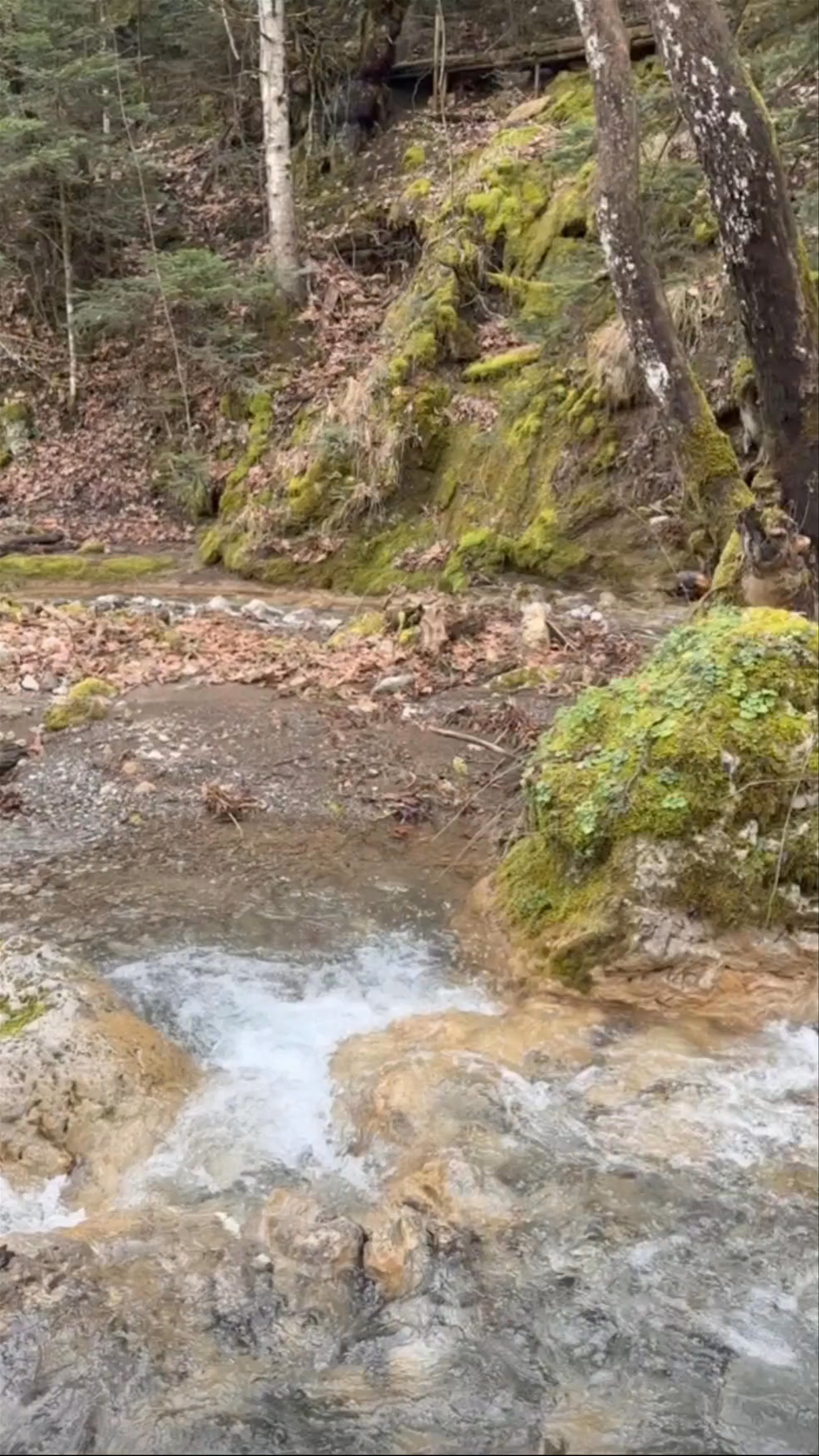 Pavliani Recreation Park: Tranquil Waterfalls and Serene Forest Walks in Greece
