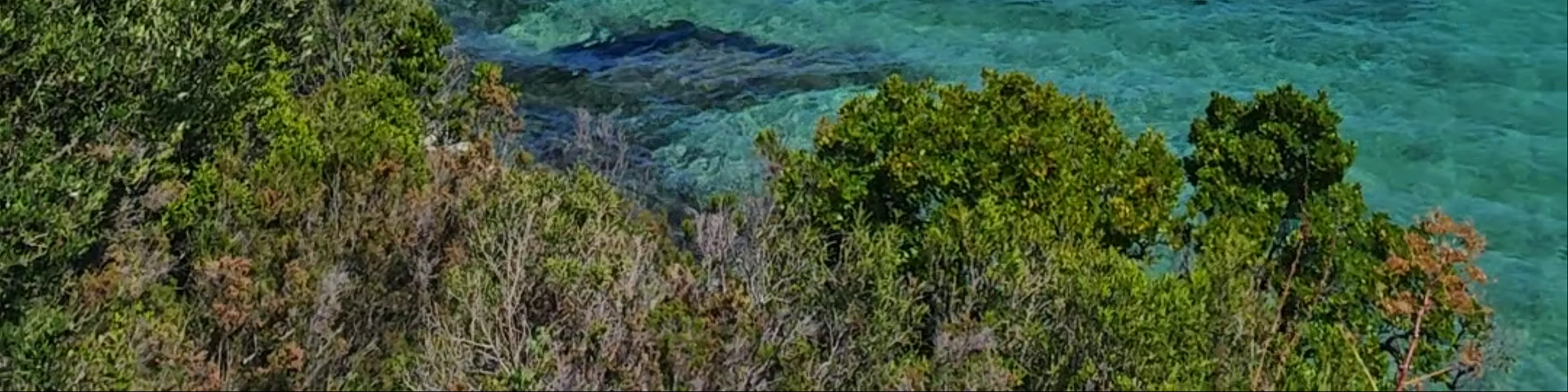Sentier du Littoral