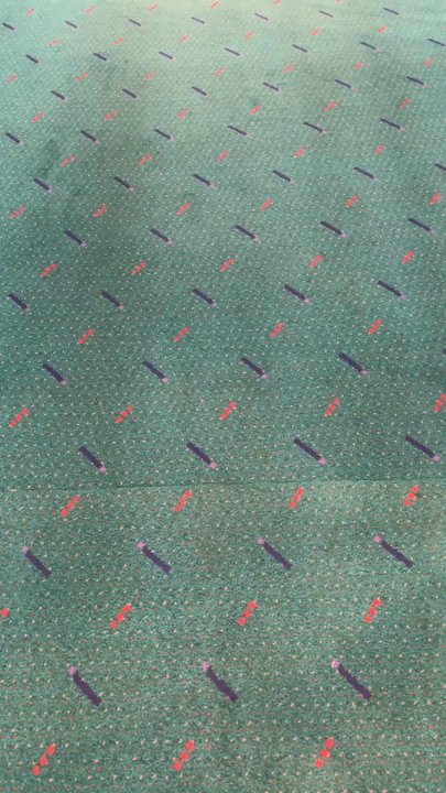 ADHD Music - The famous PDX carpet leading to ADHD Vinyl in Hood River, OR - Vinyl Records Near Me - Hood River, Oregon