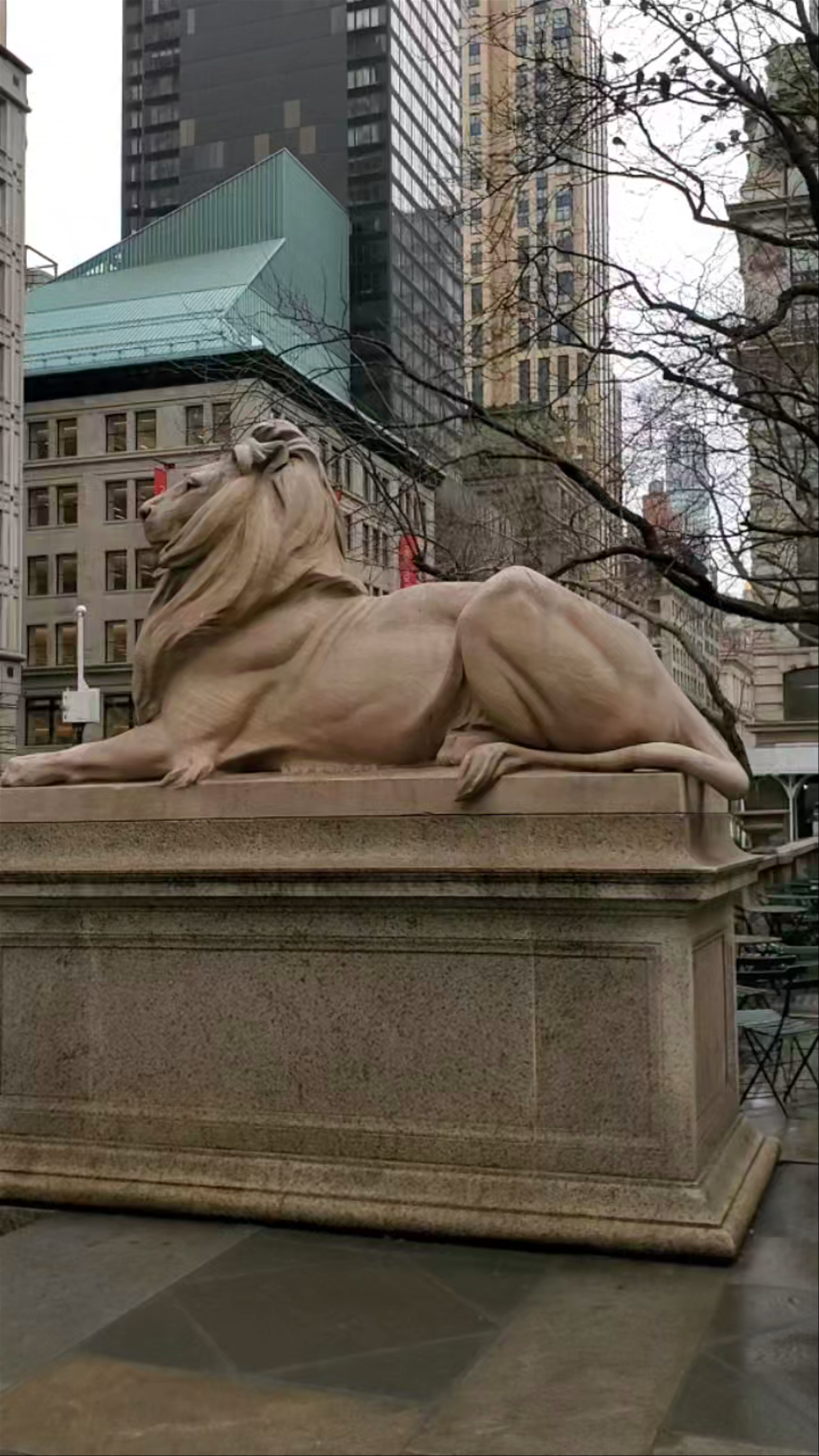 New York Public Library - Stephen A. Schwarzman Building Tour