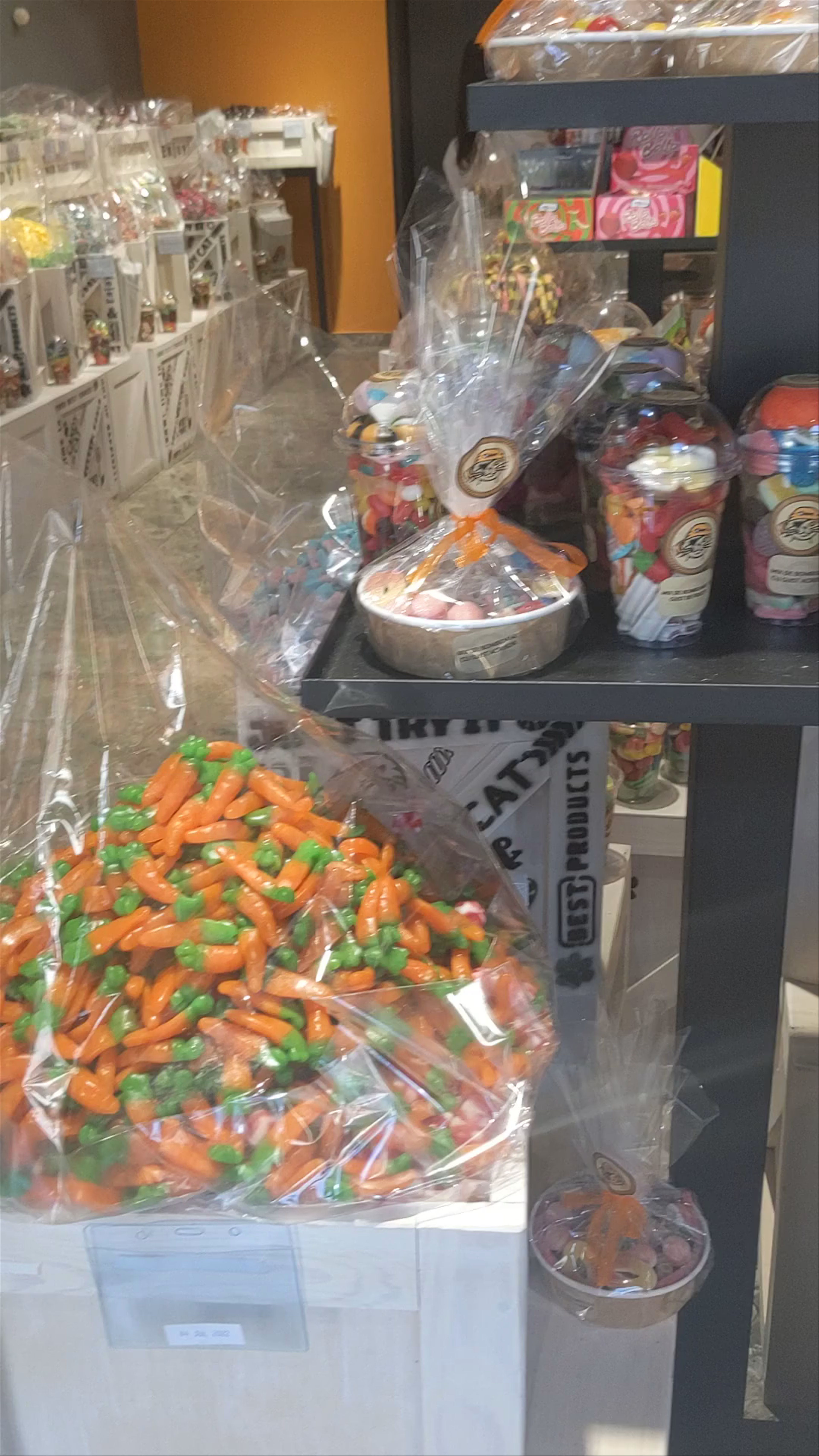 Candy Cat: A Whimsical Candy Wonderland in Sibiu, Romania