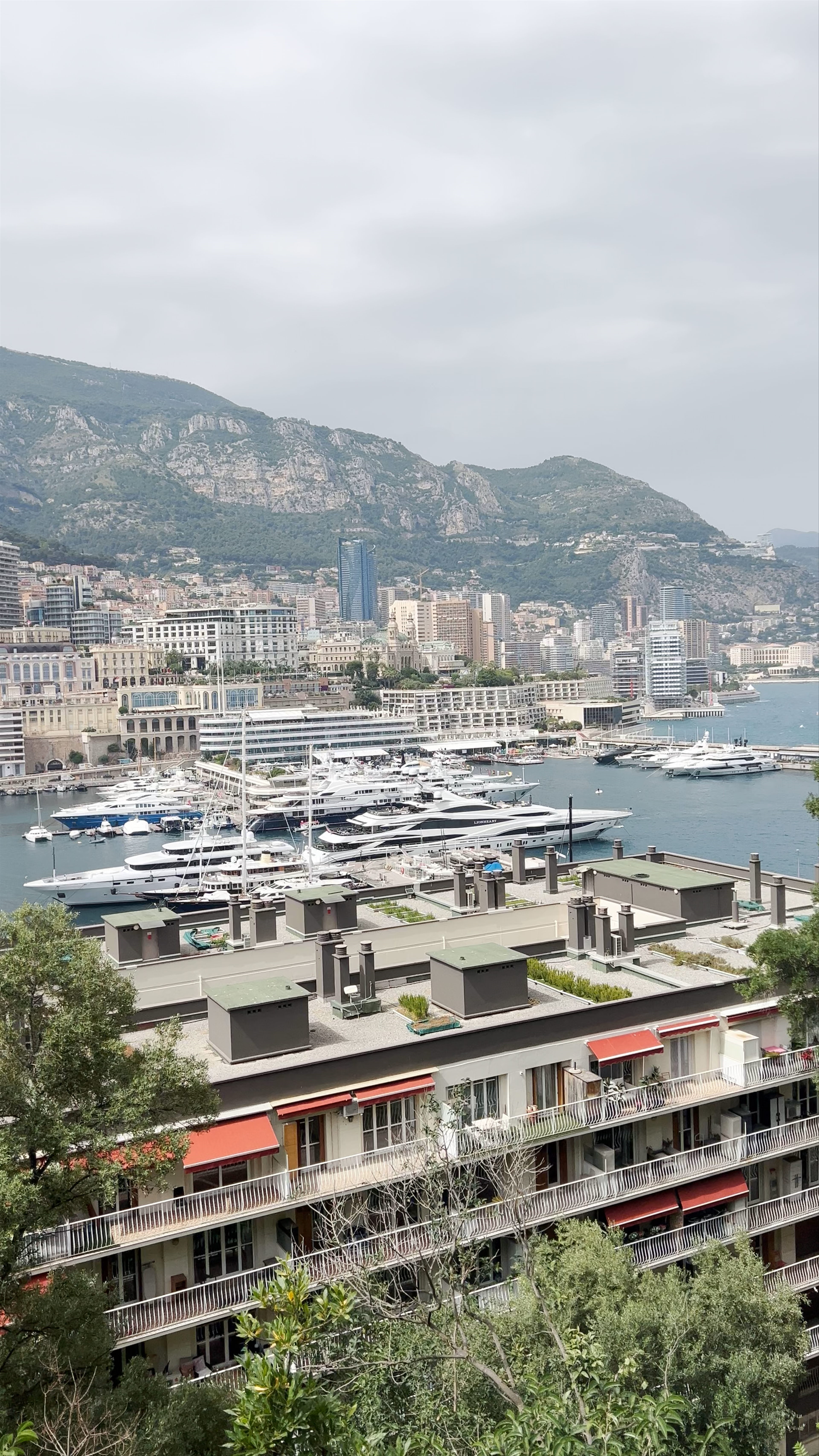 Vue Panoramique sur Monaco