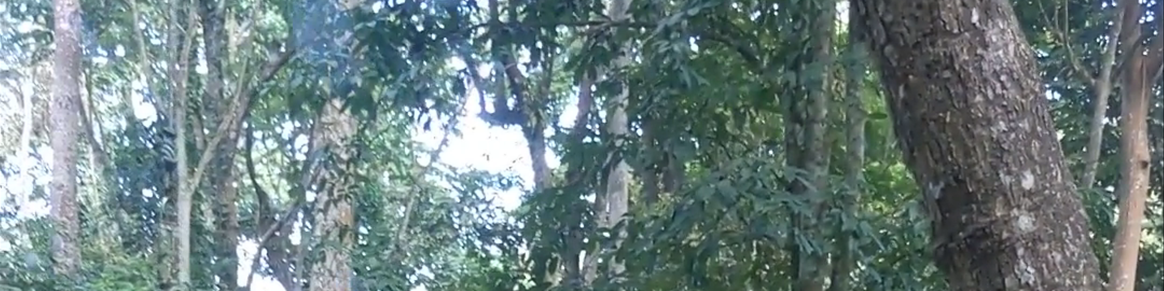 Laos