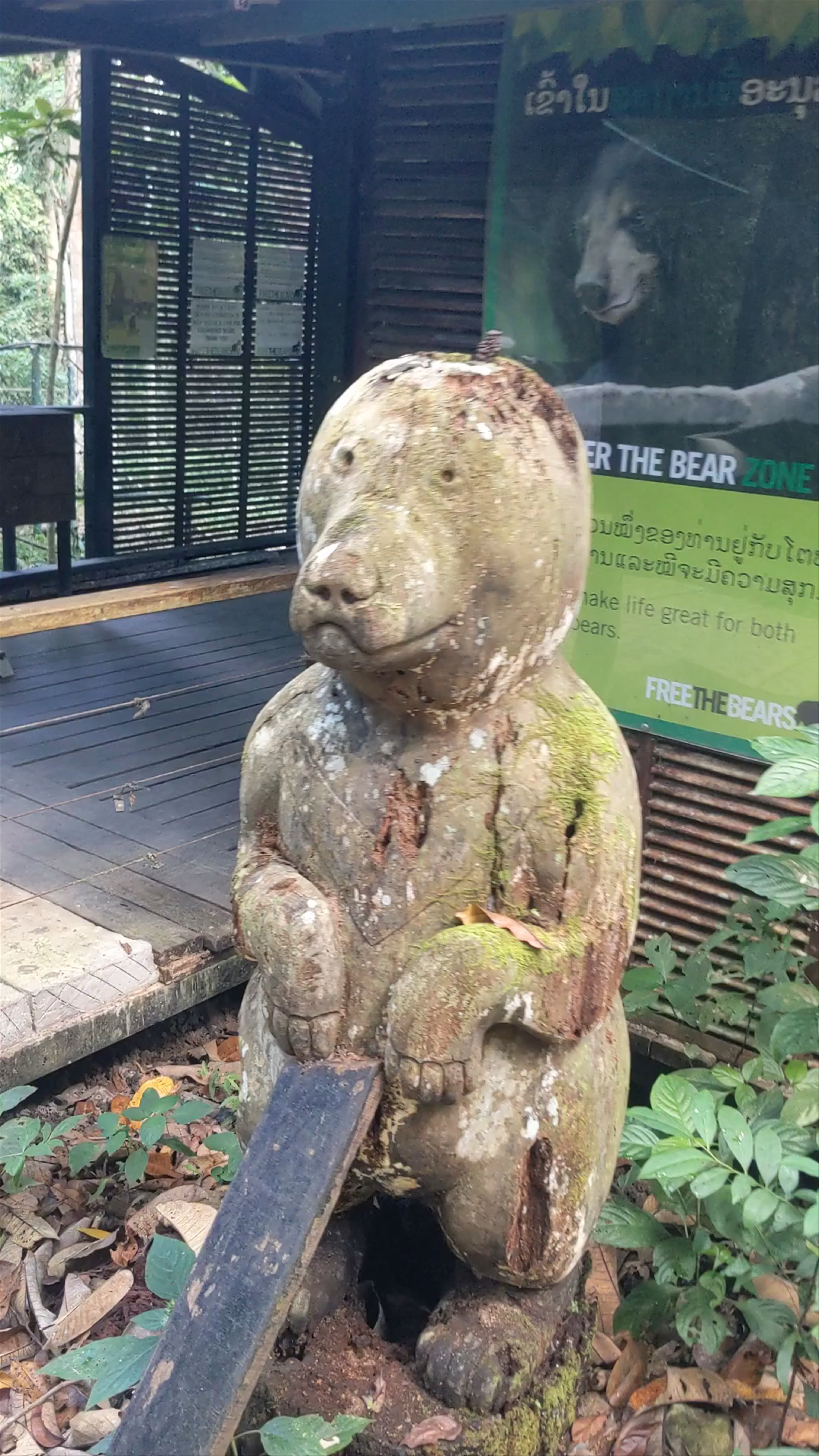 Tat Kuang Si Bear Rescue Centre: A Sanctuary in Ban Long, Laos
