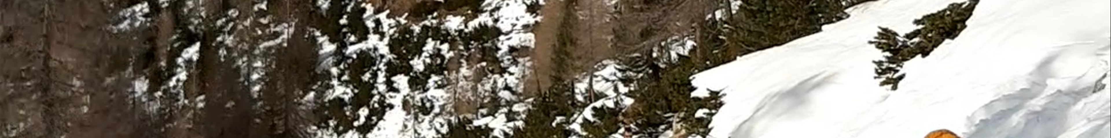 Tours & experiences in Cortina d'Ampezzo