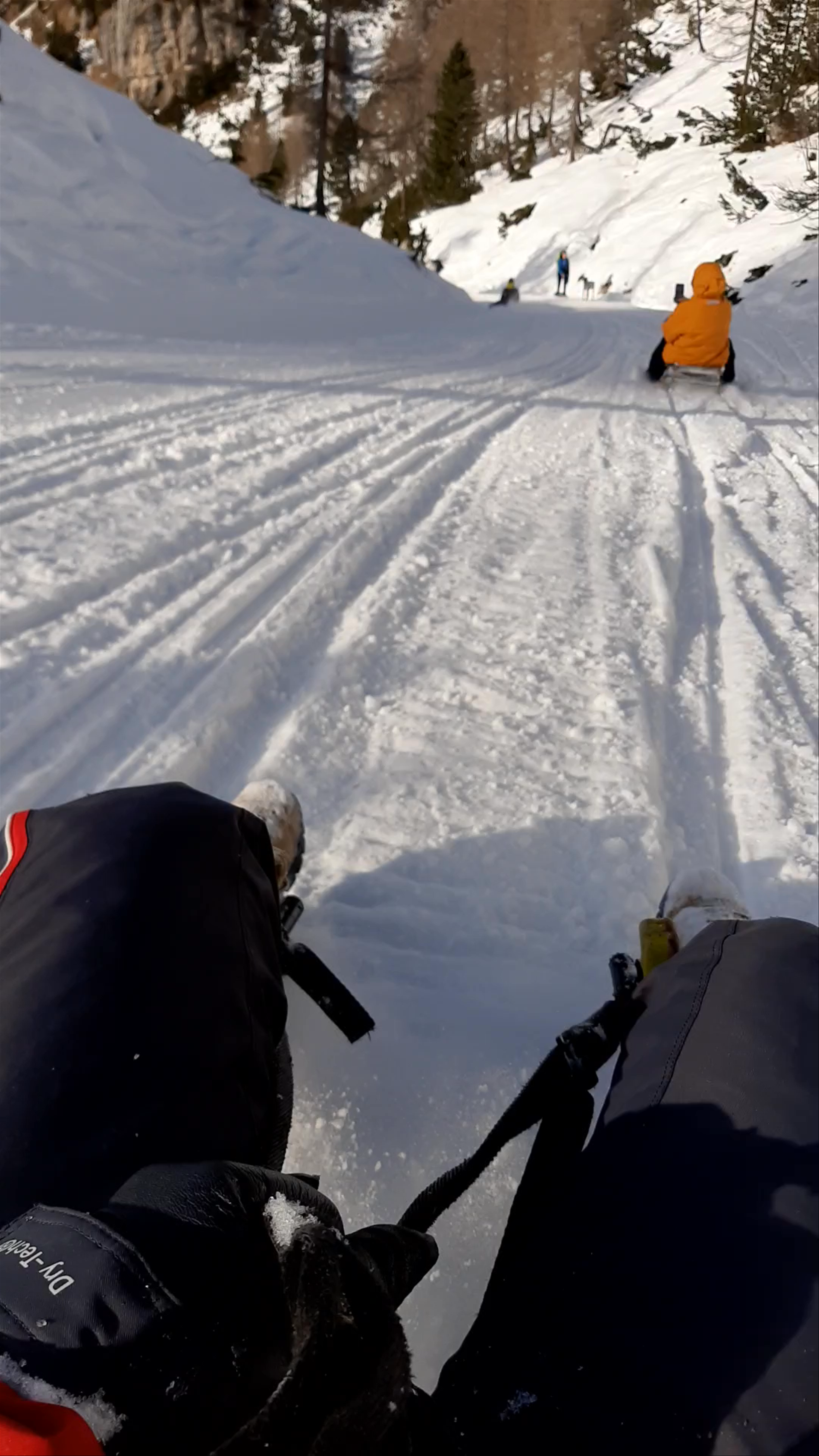 Sledding Down Snowy Trails in Tre Cime Service, Misurina, Italy