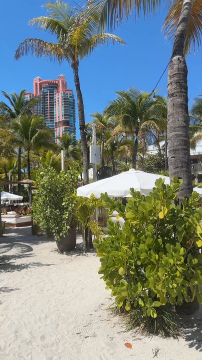 Review video 12 of 21 for Nikki Beach Miami Beach