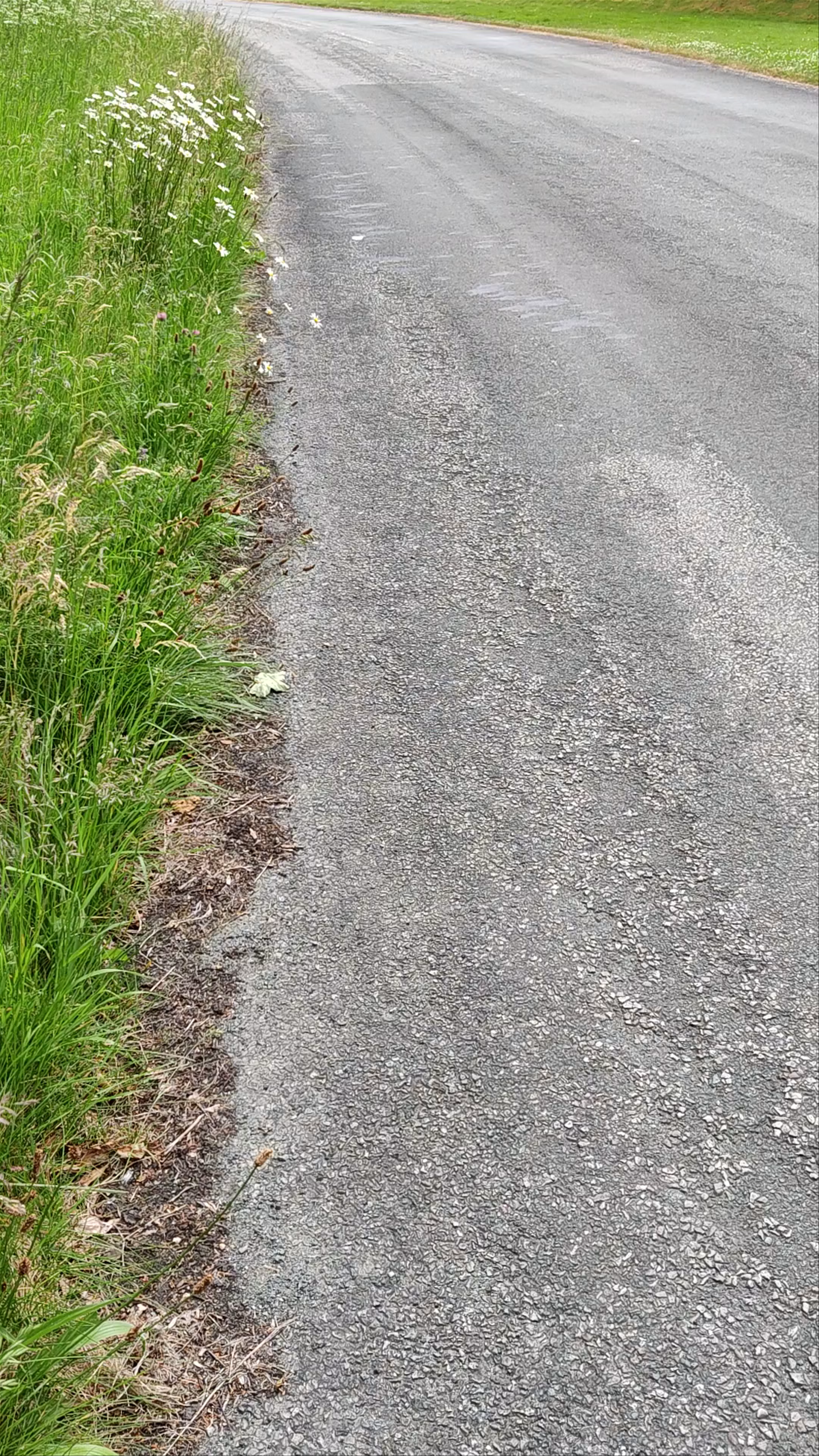 Serene Countryside Road at Dubwath Beck, Cockermouth