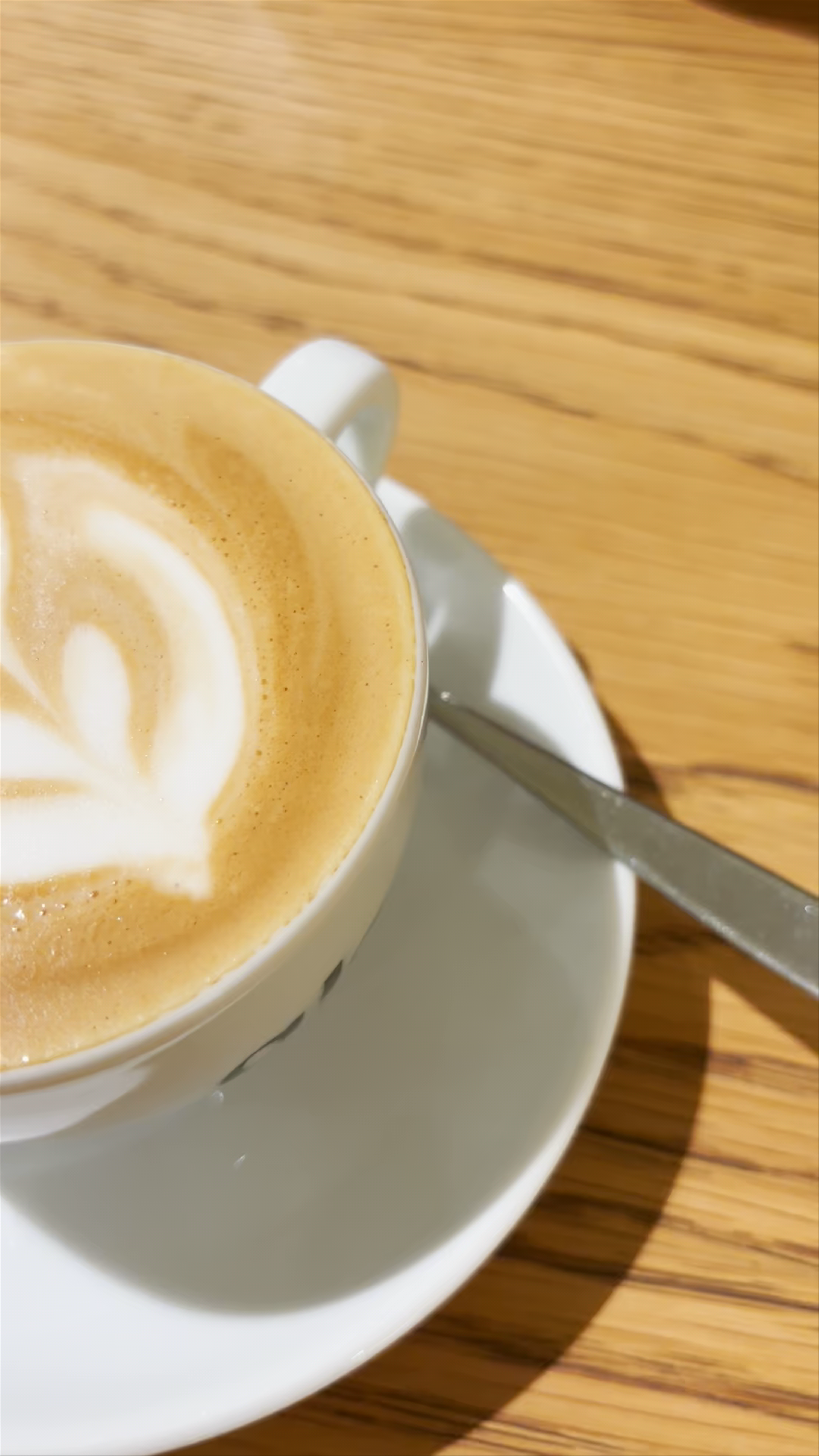 Cozy Latte Art Moments at Aloa Coffee in Foz do Iguaçu