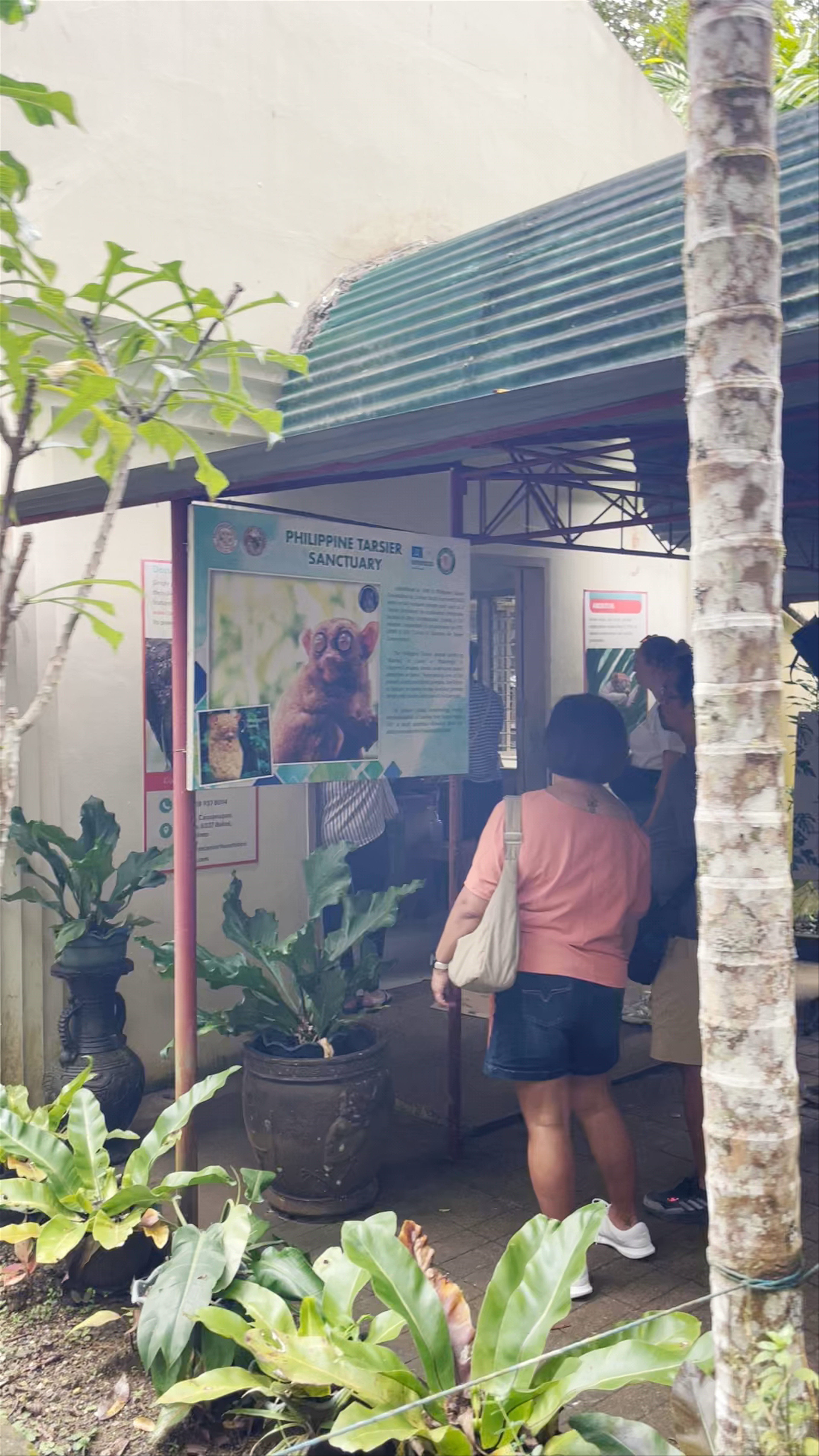 Philippine Tarsier Sanctuary