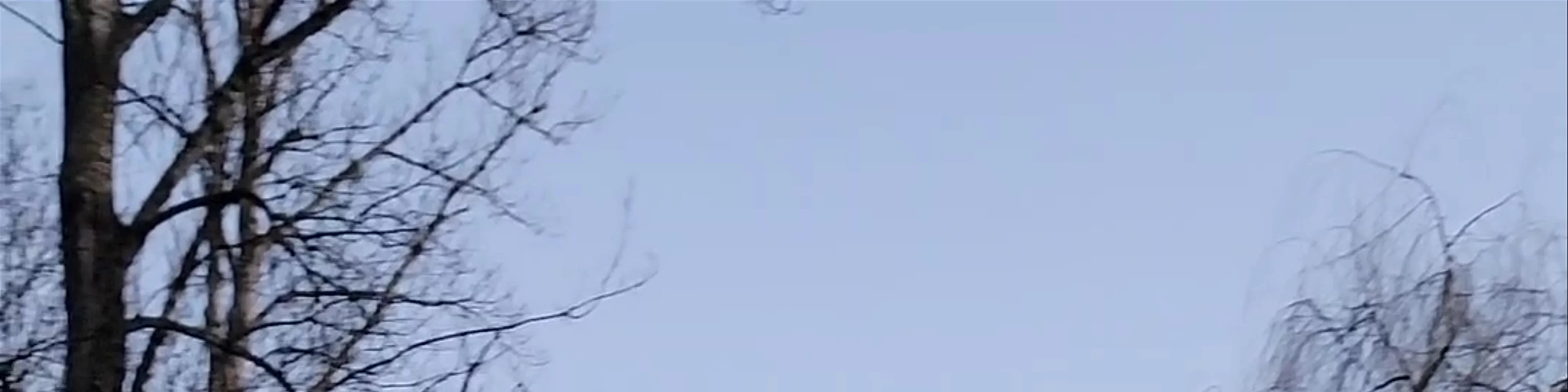 Park Fosa i Stoki Cytadeli w Warszawie
