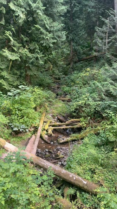 Poo Poo Point - Sights, sounds, and scrapes. - Hiking Near Me - Issaquah, Washington